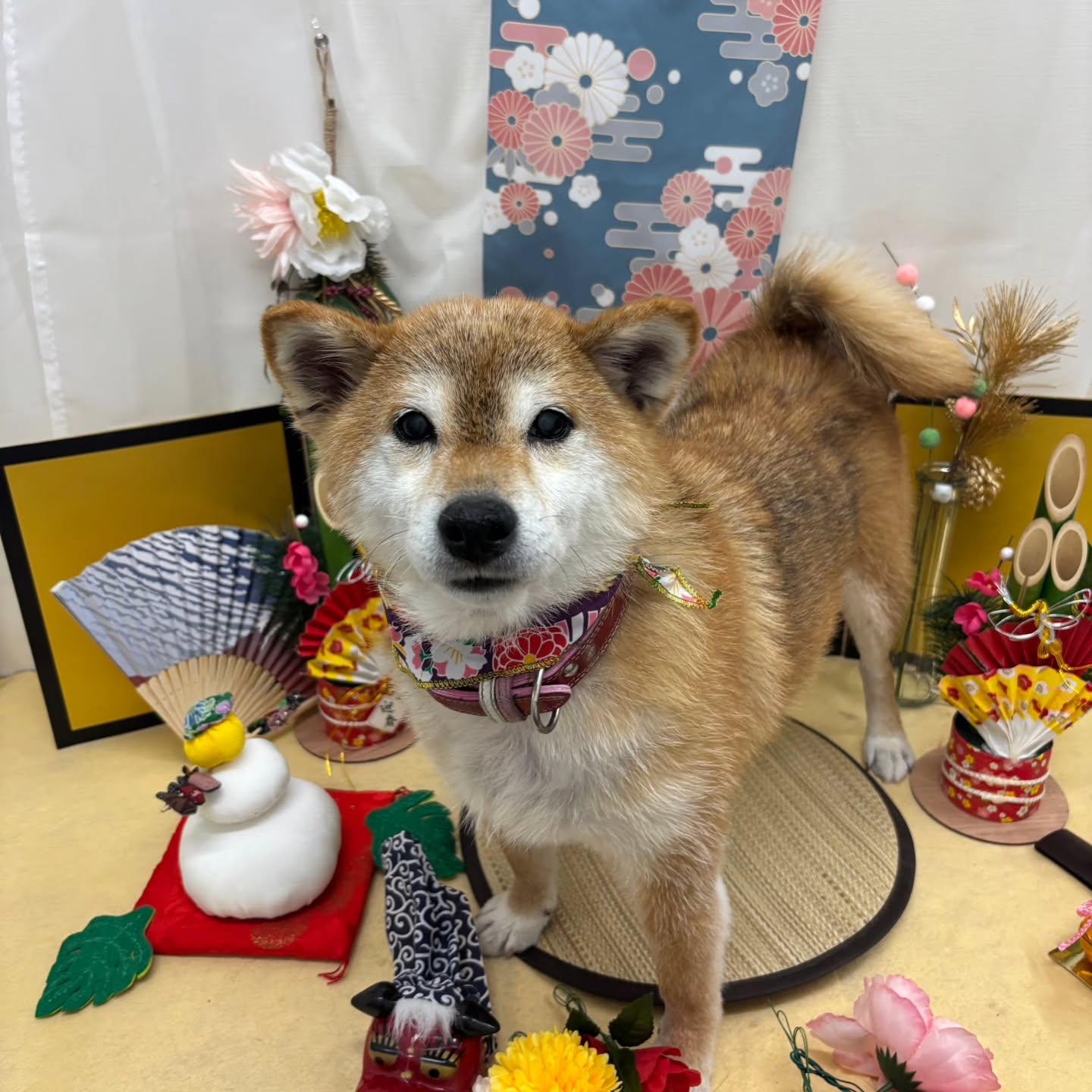 🐴🐴🐴🐴🐴🐴🐴⁡🐴⁡