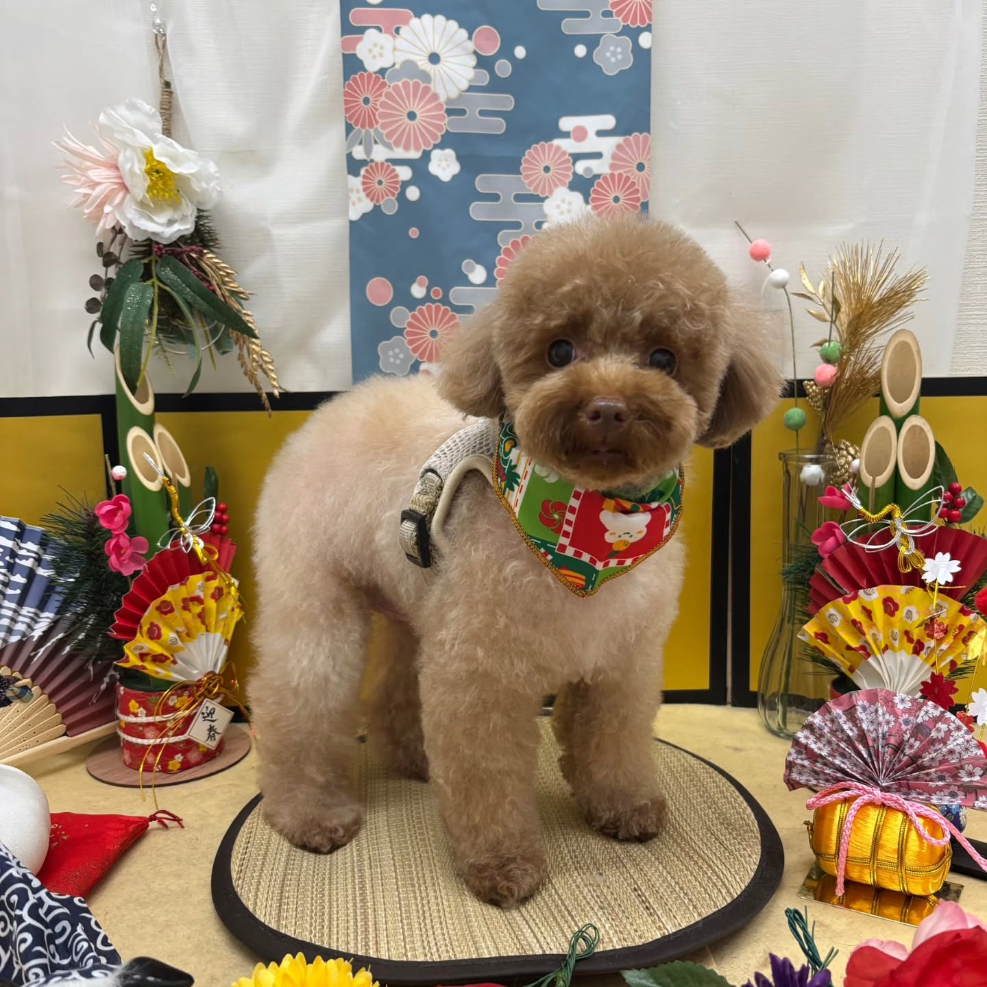 🐴🐴🐴🐴🐴🐴🐴⁡🐴⁡