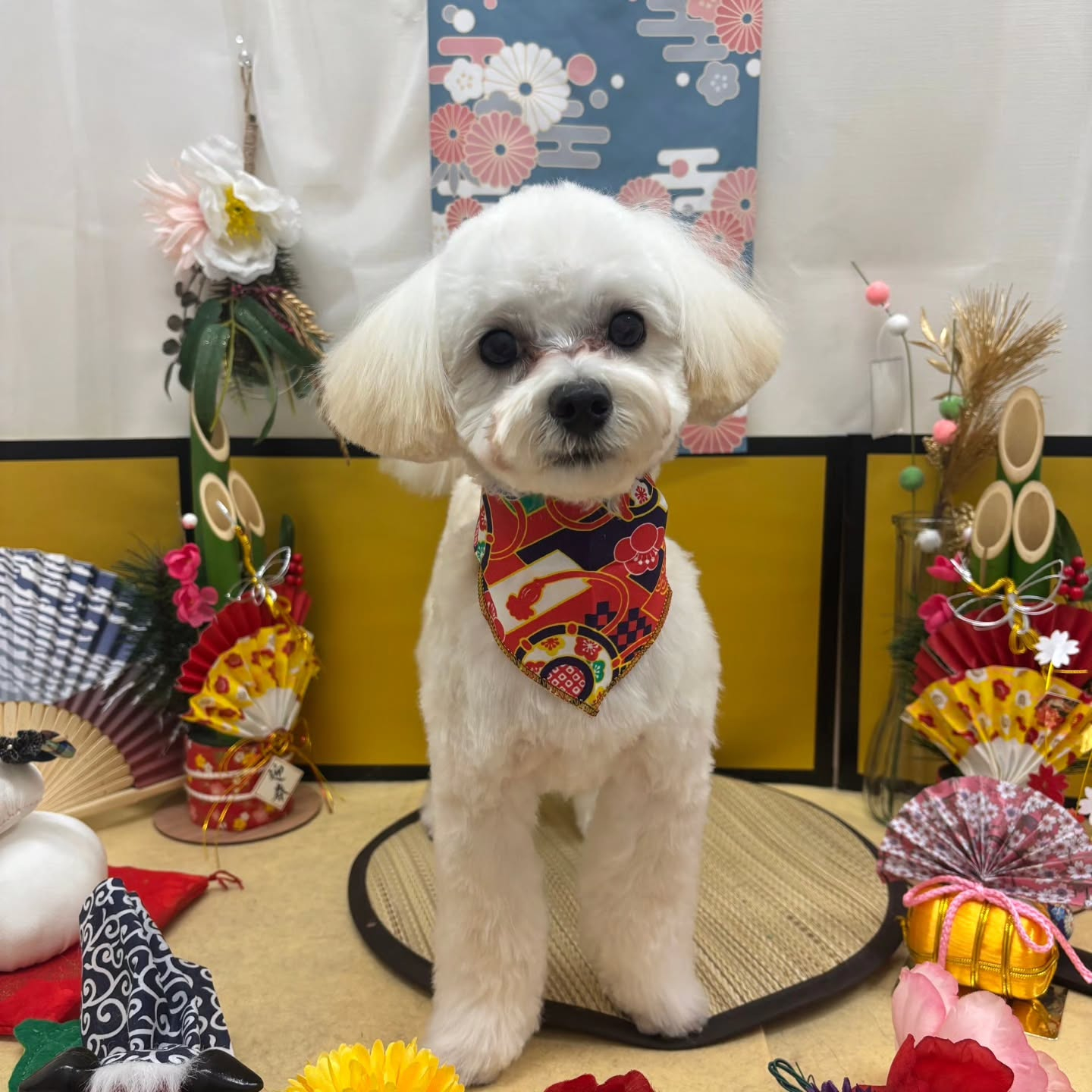 🐴🐴🐴🐴🐴🐴⁡🐴⁡