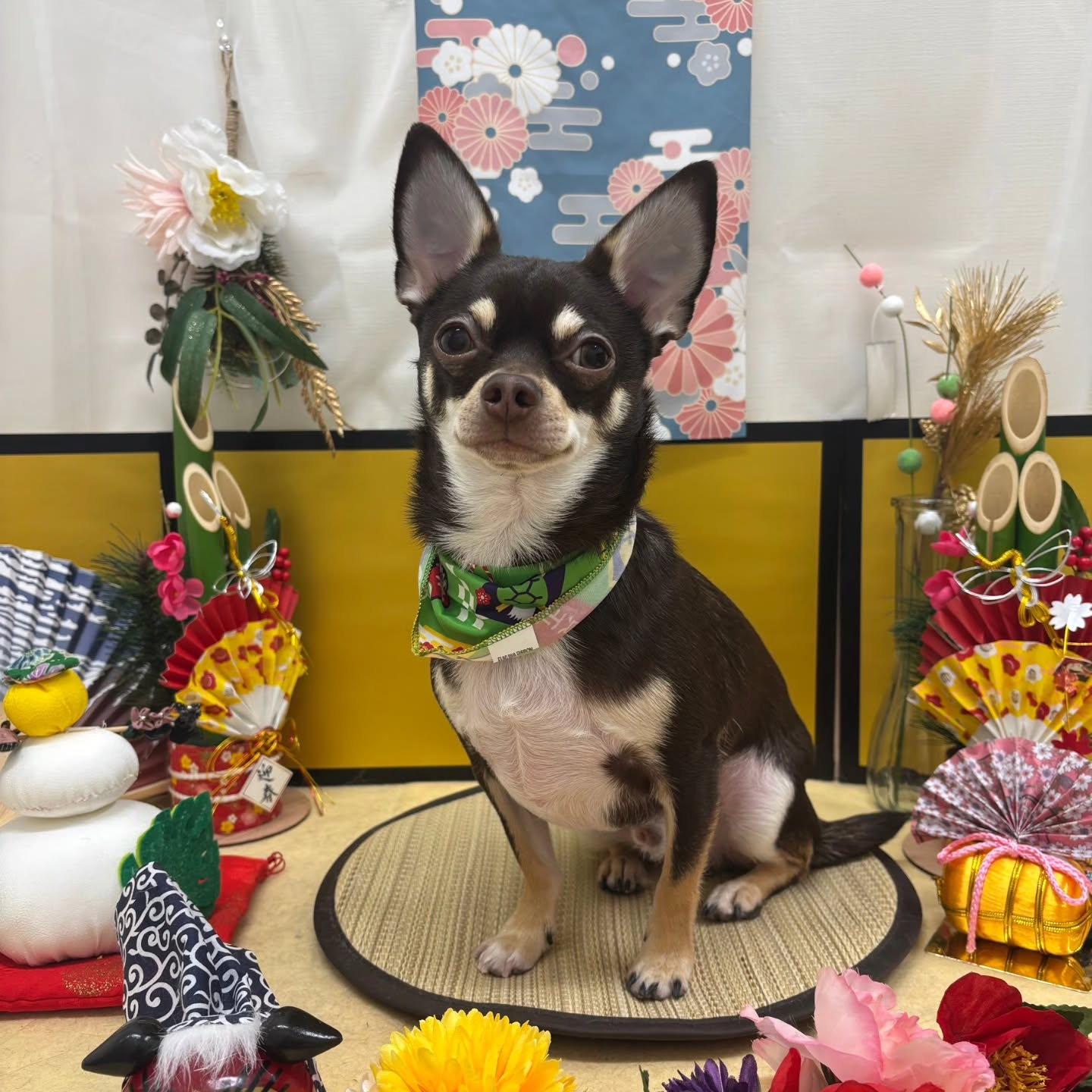 ๐ด๐ด๐ด๐ด๐ด๐ดโก๐ดโก