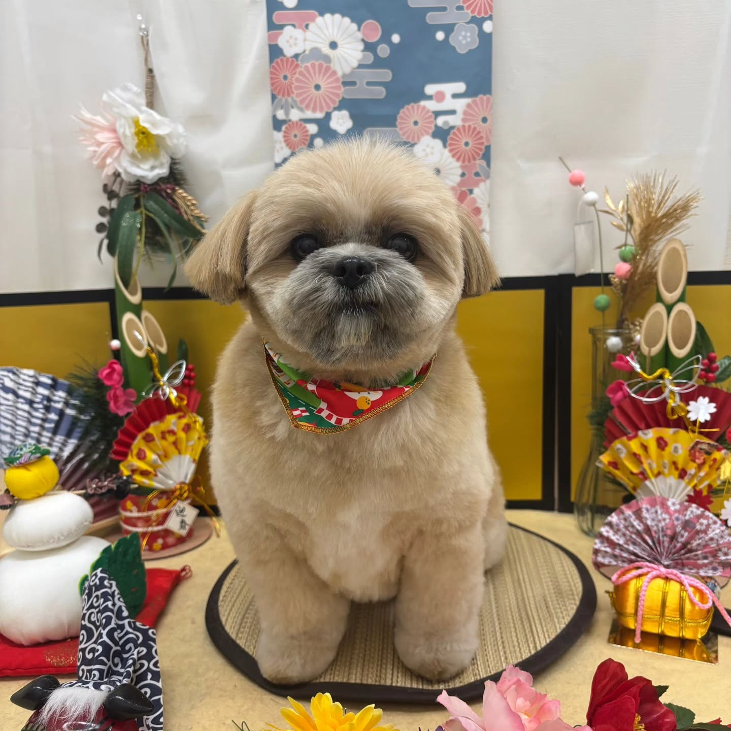 ๐ด๐ด๐ด๐ด๐ด๐ดโก๐ดโก