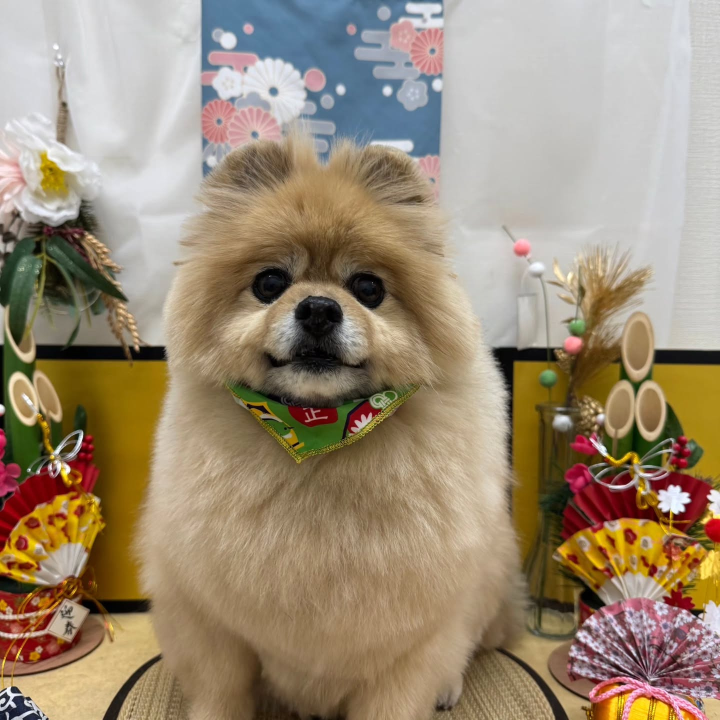 ๐ด๐ด๐ด๐ด๐ด๐ดโก๐ดโก