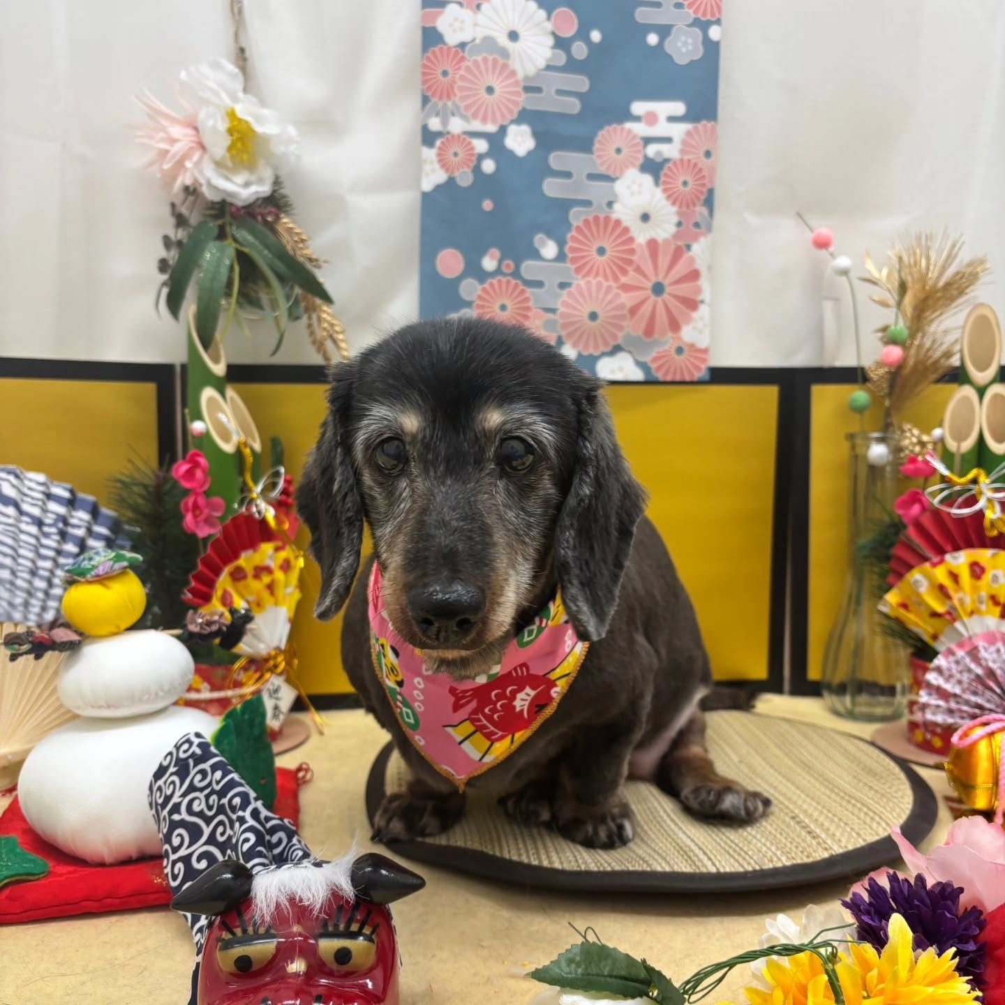 ๐ด๐ด๐ด๐ด๐ด๐ดโก๐ดโก