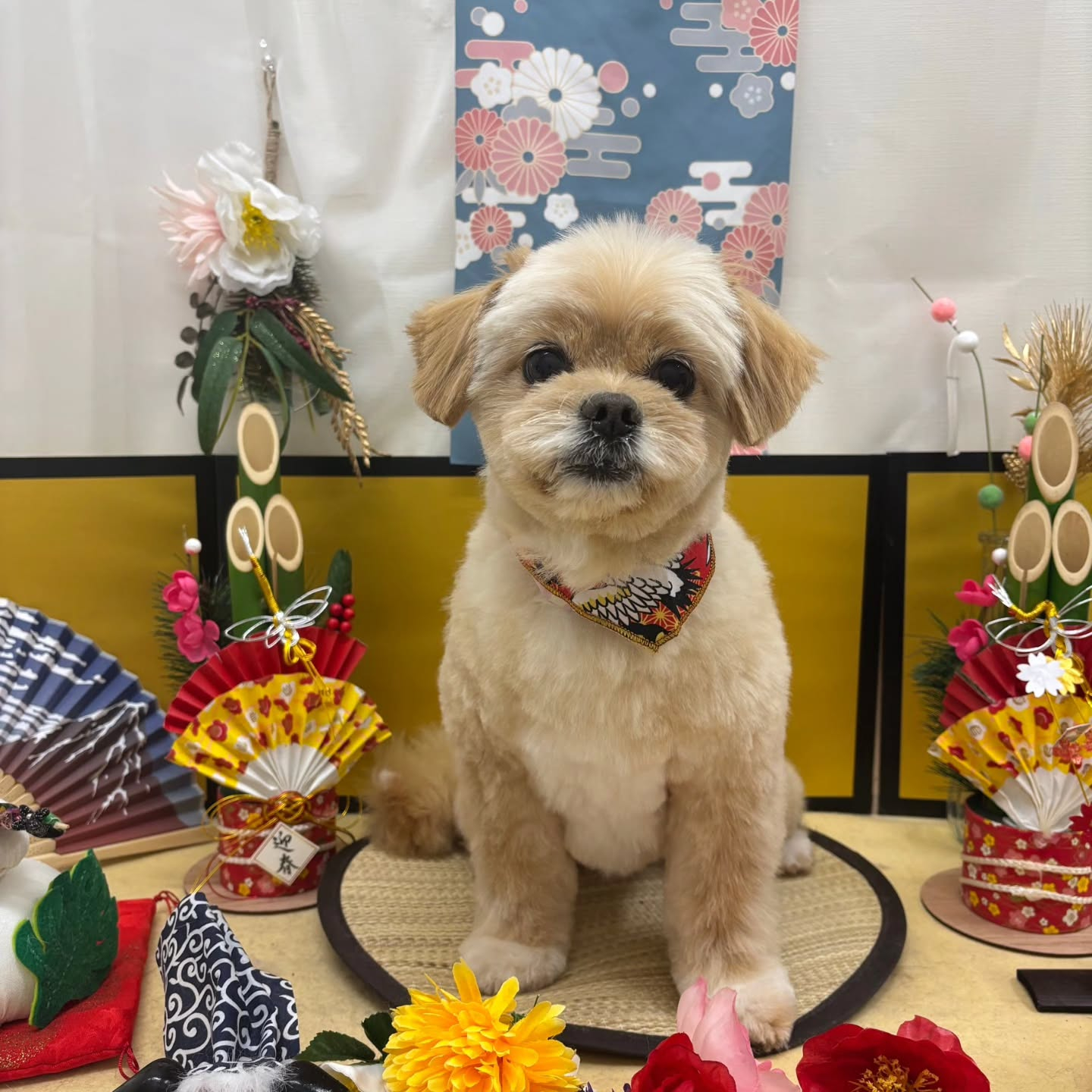 ๐ด๐ด๐ด๐ด๐ด๐ดโก๐ดโก