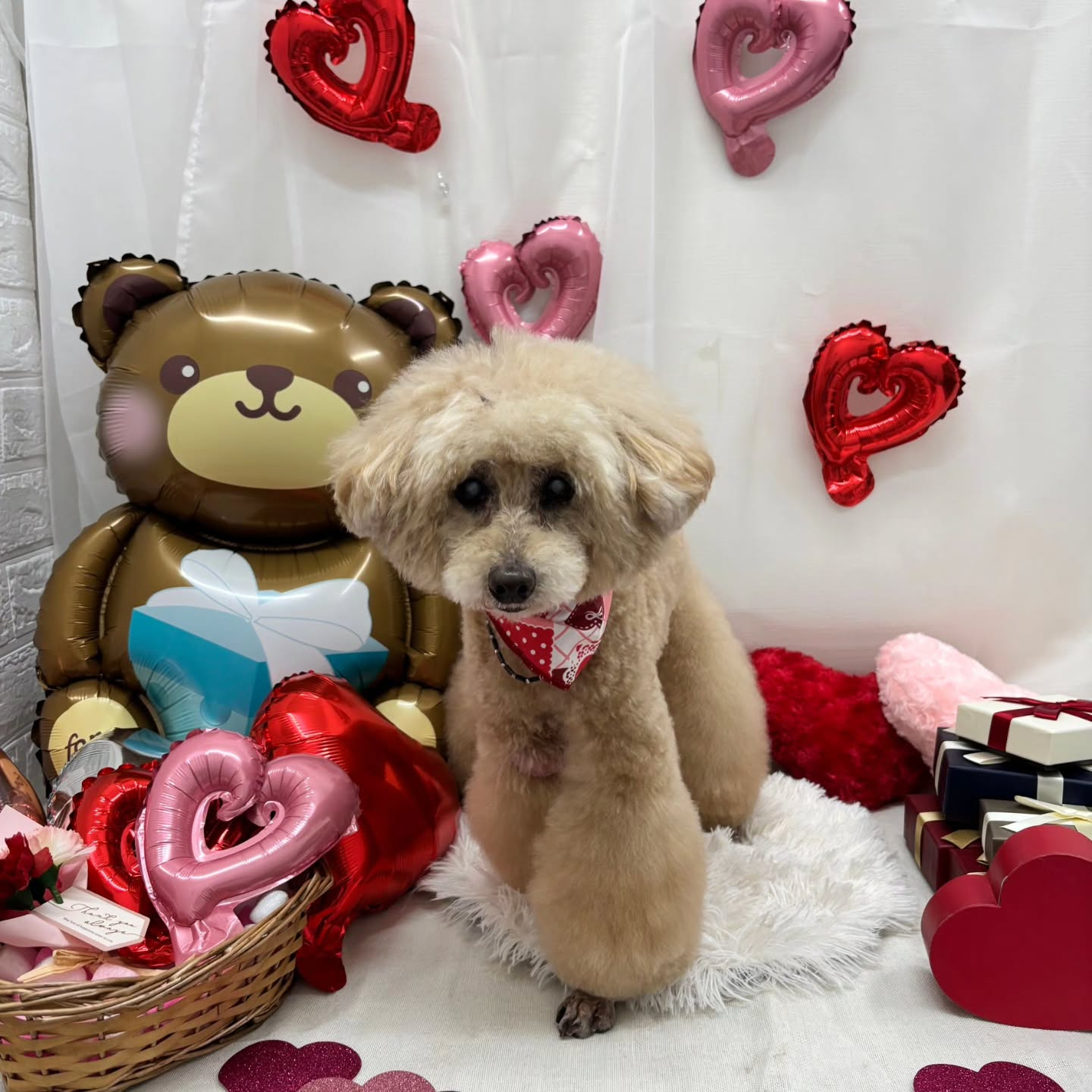 🍫🍫🍫🍫🍫🍫🍫🍫