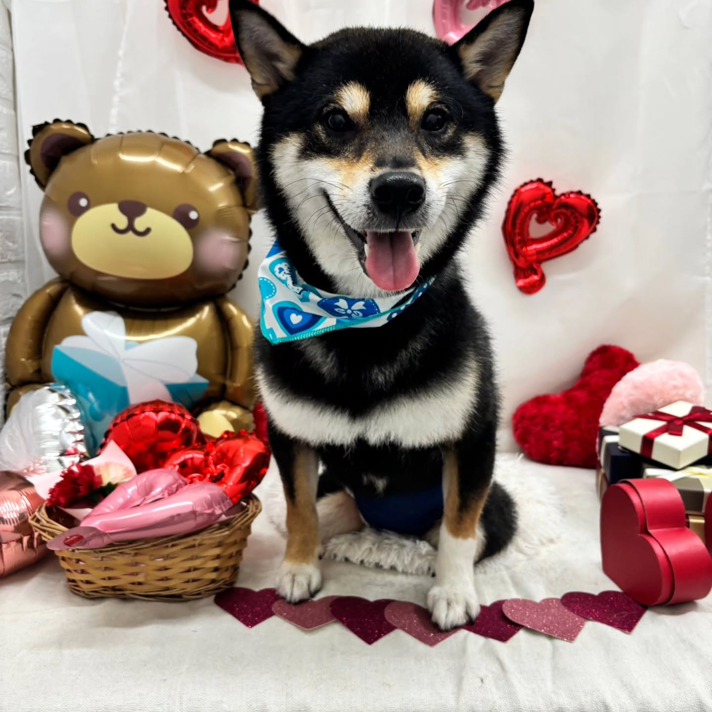 ๐ซ๐ซ๐ซ๐ซ๐ซ๐ซ๐ซ๐ซ