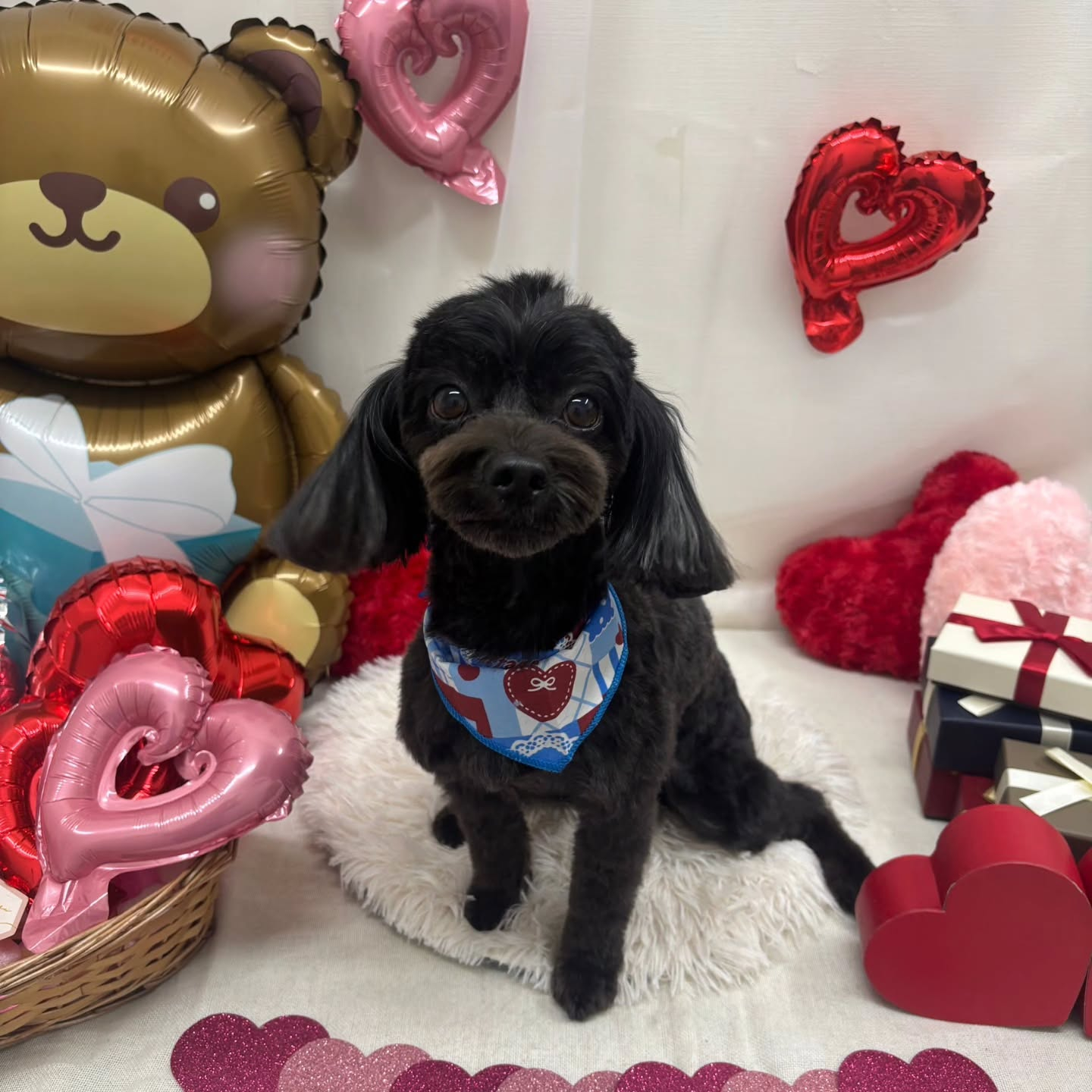 ๐ซ๐ซ๐ซ๐ซ๐ซ๐ซ๐ซ๐ซ