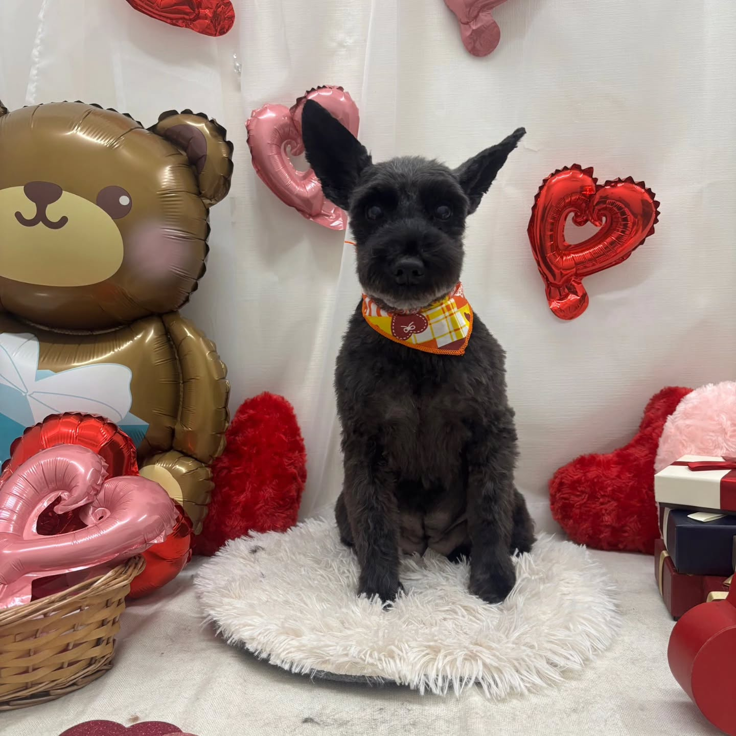 ๐ซ๐ซ๐ซ๐ซ๐ซ๐ซ๐ซ๐ซ