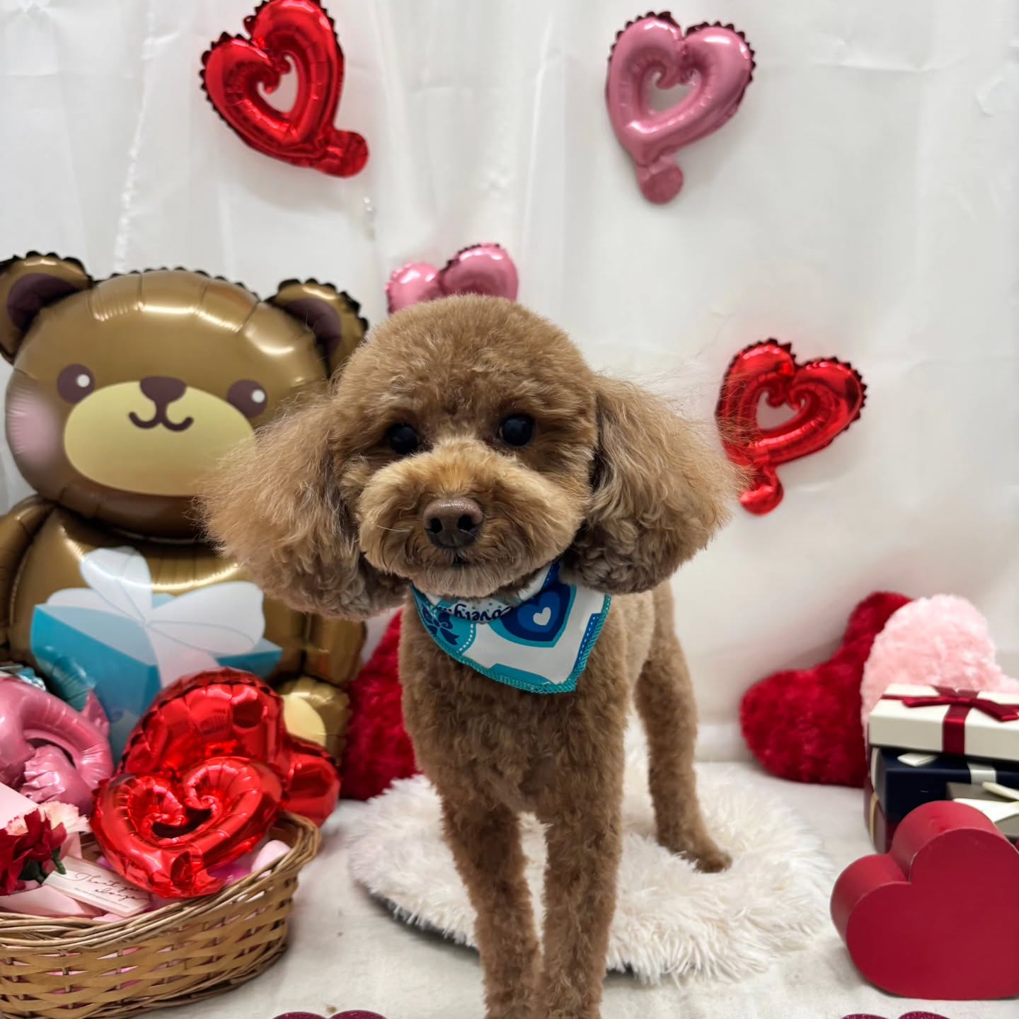 ๐ซ๐ซ๐ซ๐ซ๐ซ๐ซ๐ซ๐ซ