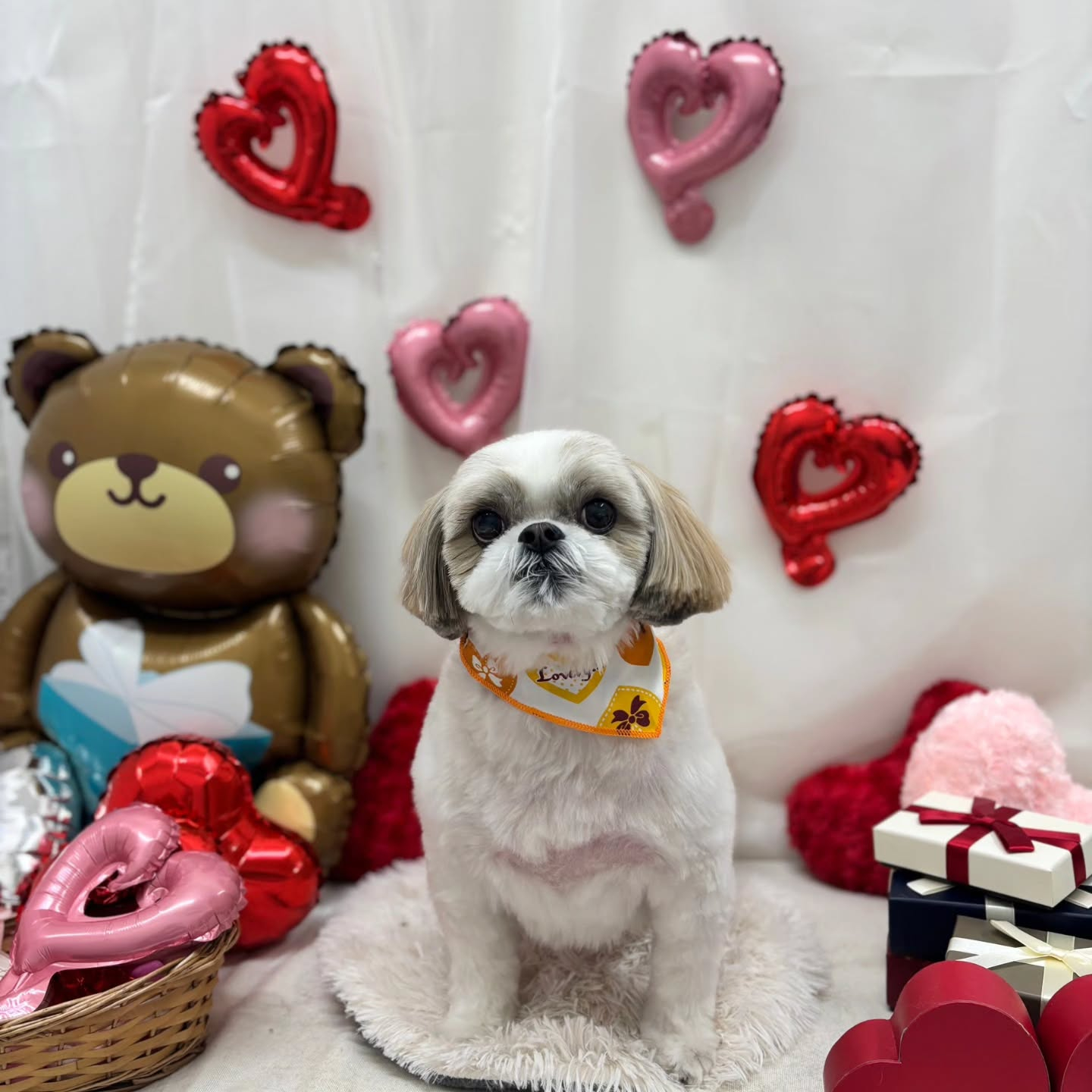 ๐ซ๐ซ๐ซ๐ซ๐ซ๐ซ๐ซ๐ซ