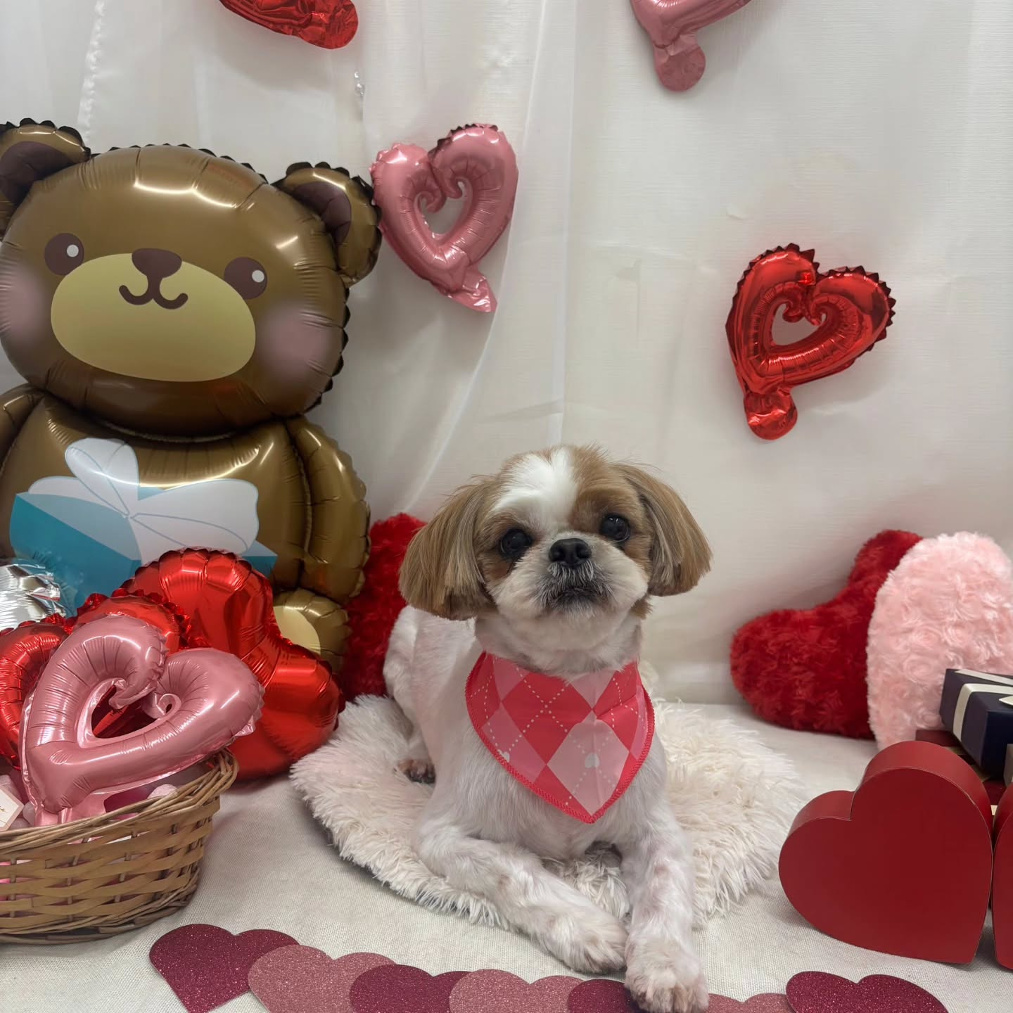 ๐ซ๐ซ๐ซ๐ซ๐ซ๐ซ๐ซ๐ซ