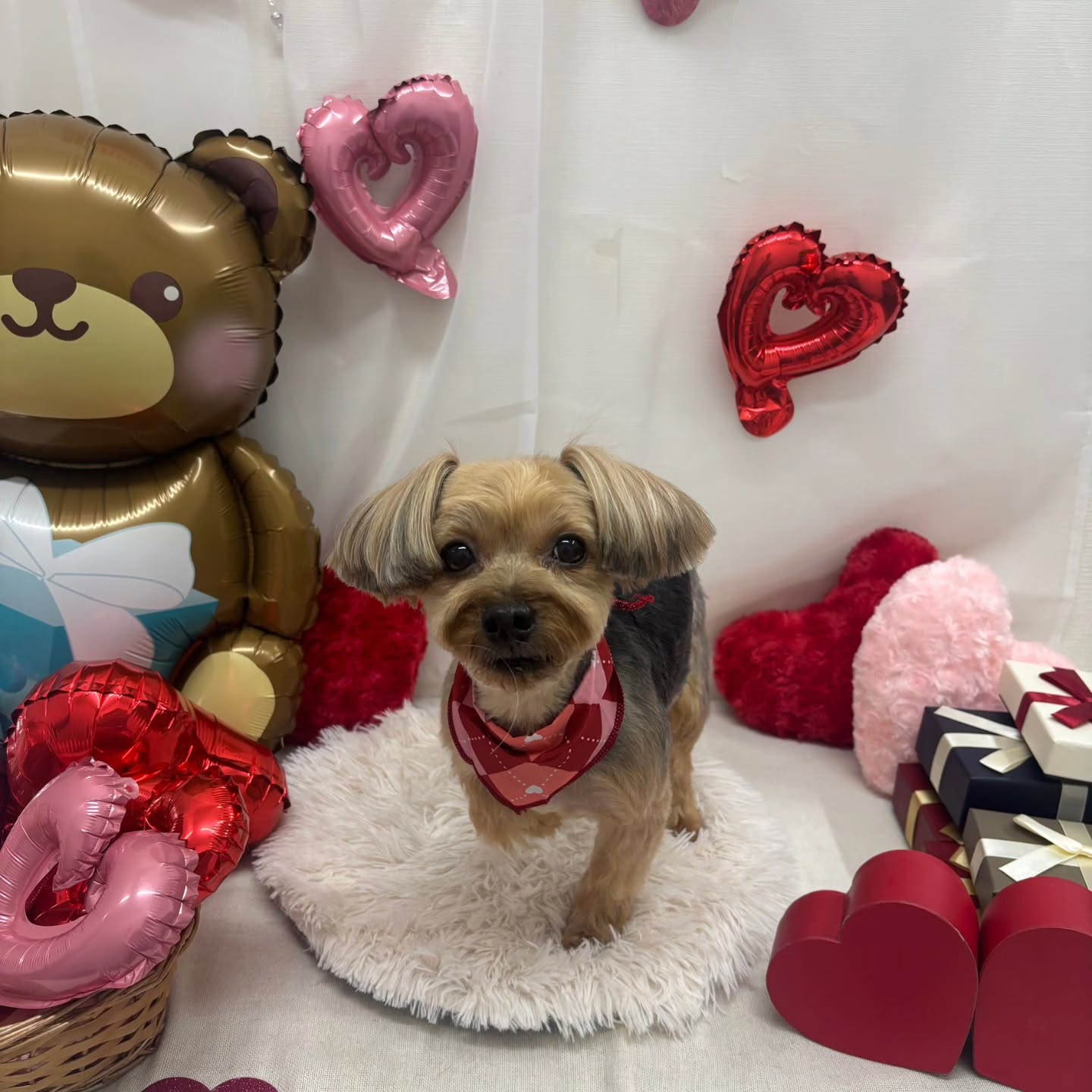 ๐ซ๐ซ๐ซ๐ซ๐ซ๐ซ๐ซ๐ซ