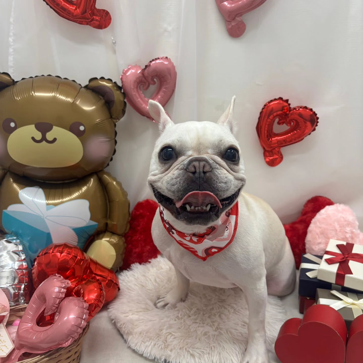 ๐ซ๐ซ๐ซ๐ซ๐ซ๐ซ๐ซ๐ซ