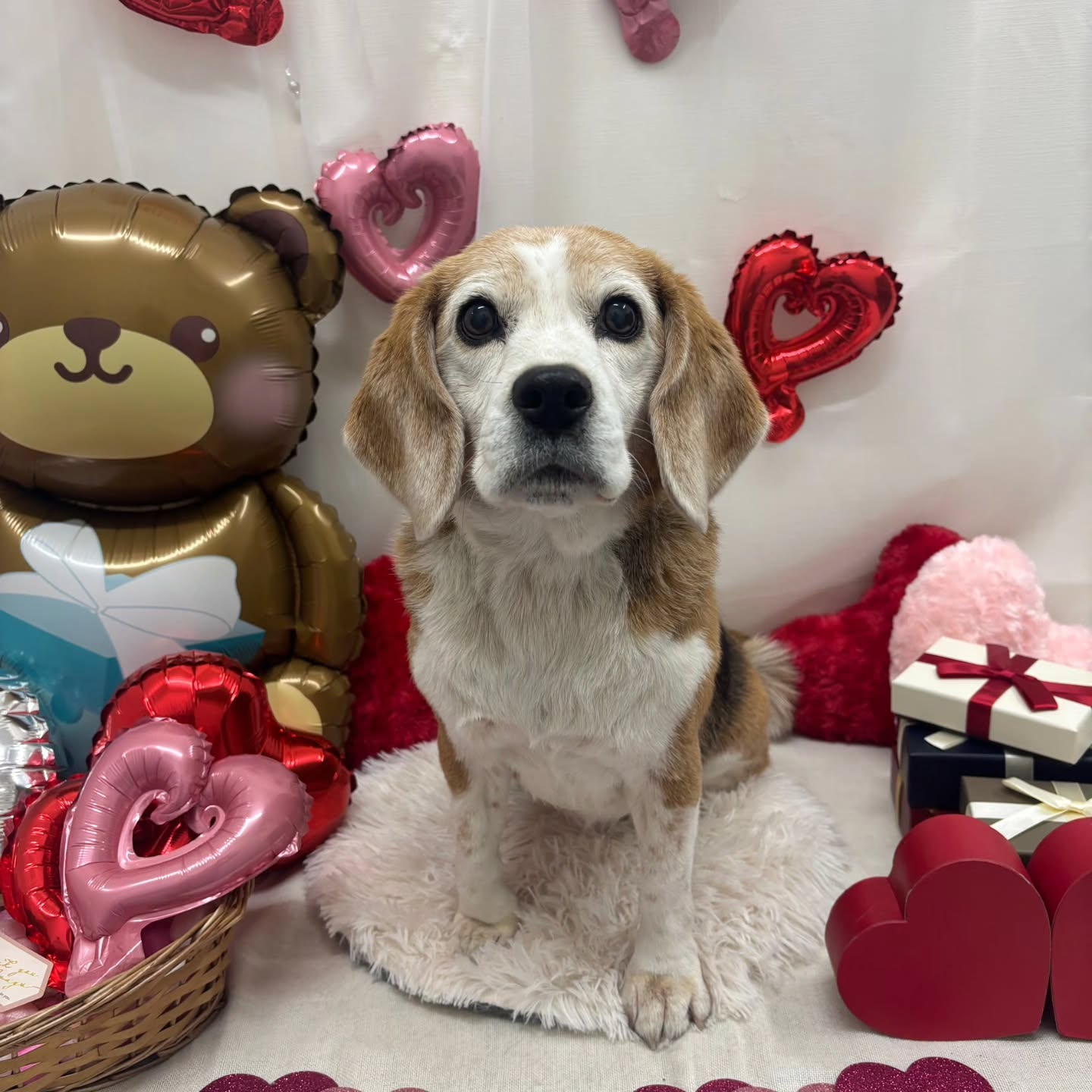 ๐ซ๐ซ๐ซ๐ซ๐ซ๐ซ๐ซ๐ซ