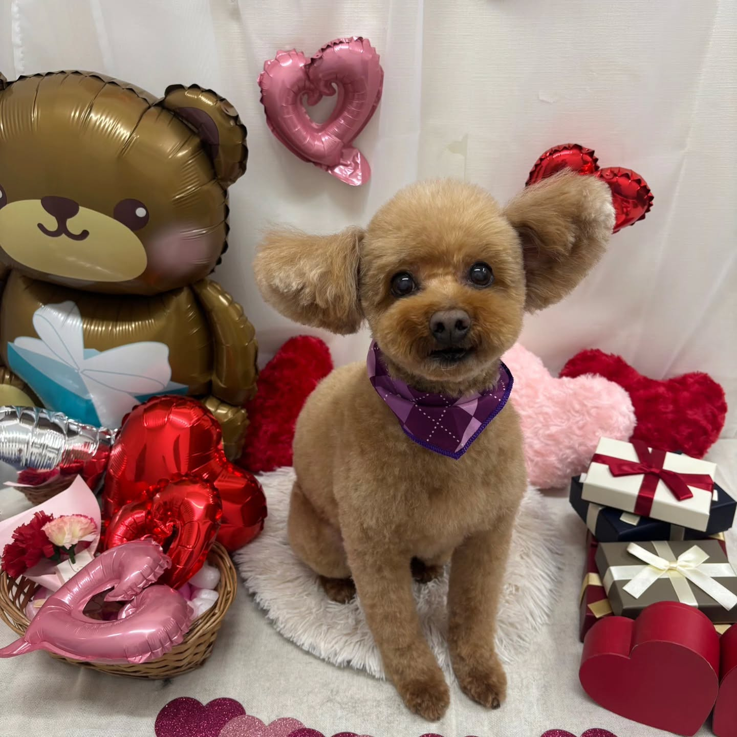 🍫🍫🍫🍫🍫🍫🍫🍫