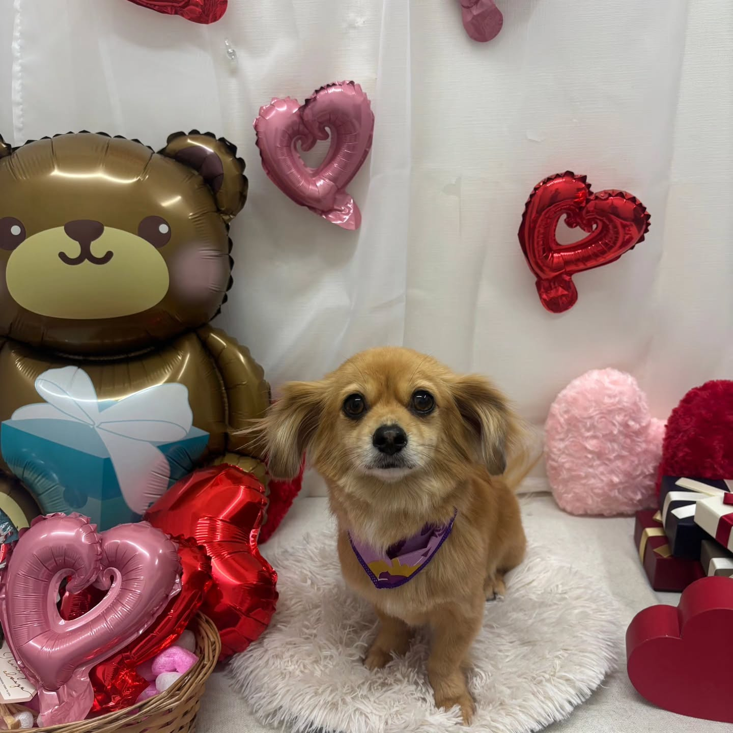 ๐ซ๐ซ๐ซ๐ซ๐ซ๐ซ๐ซ๐ซ