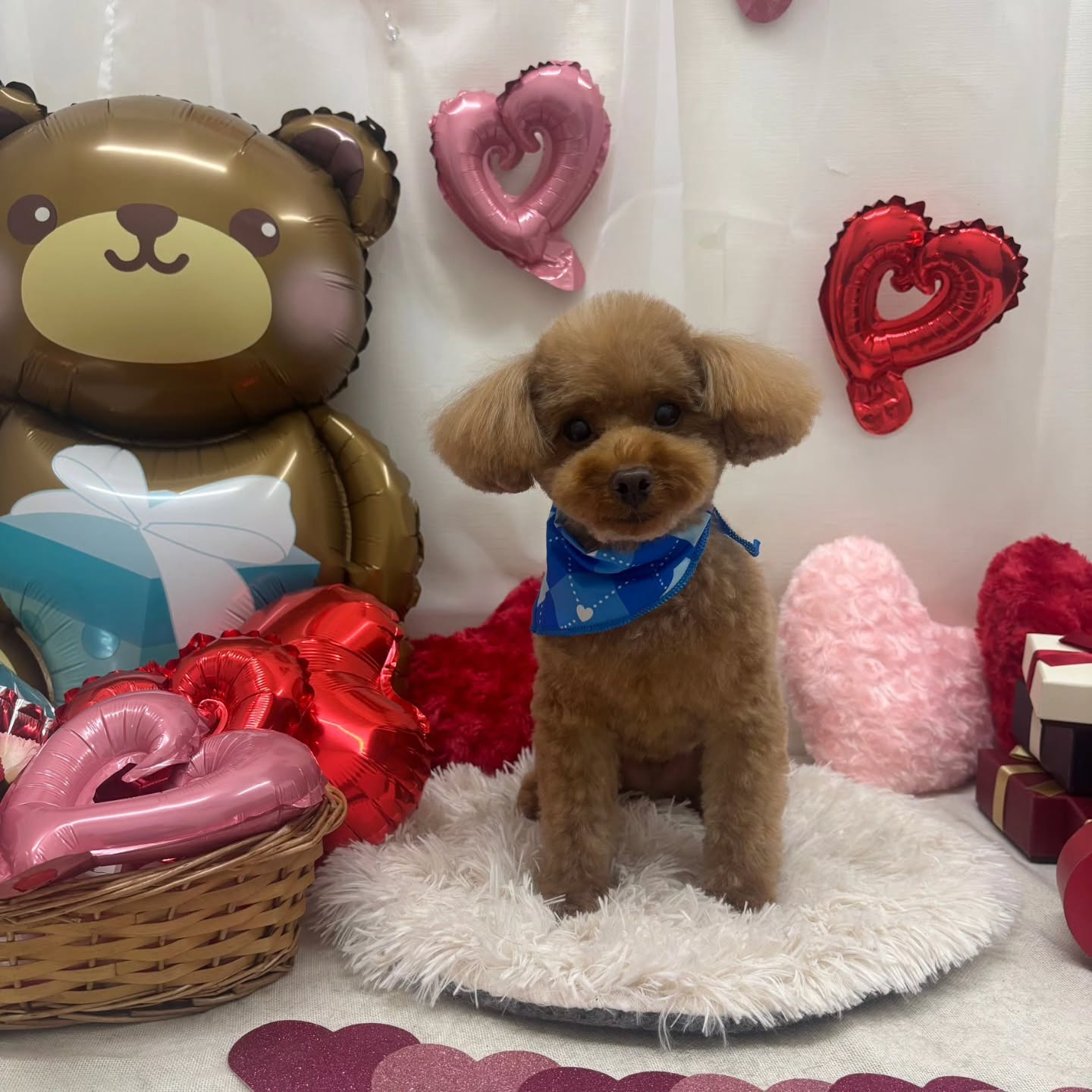 ๐ซ๐ซ๐ซ๐ซ๐ซ๐ซ๐ซ๐ซ