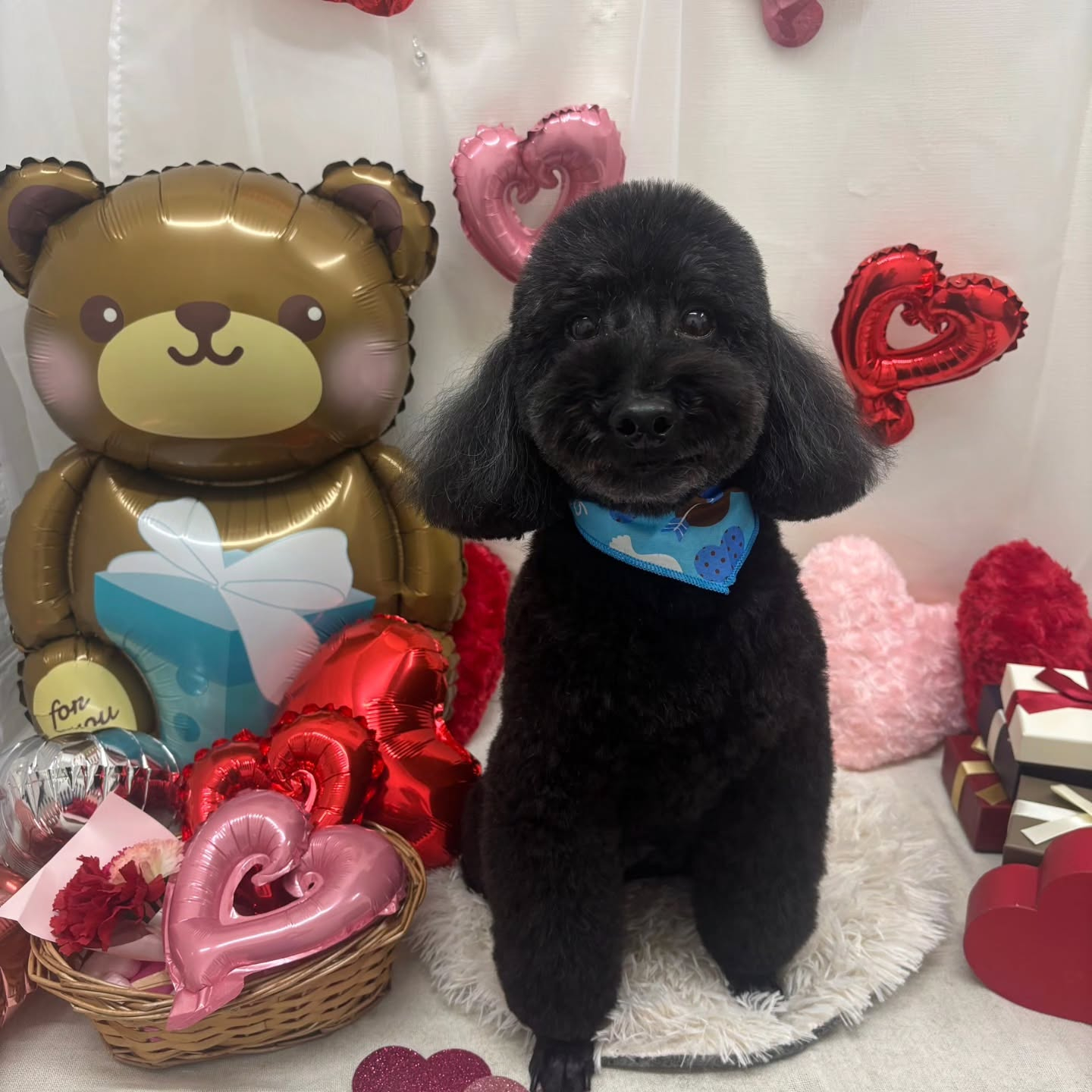 ๐ซ๐ซ๐ซ๐ซ๐ซ๐ซ๐ซ๐ซ