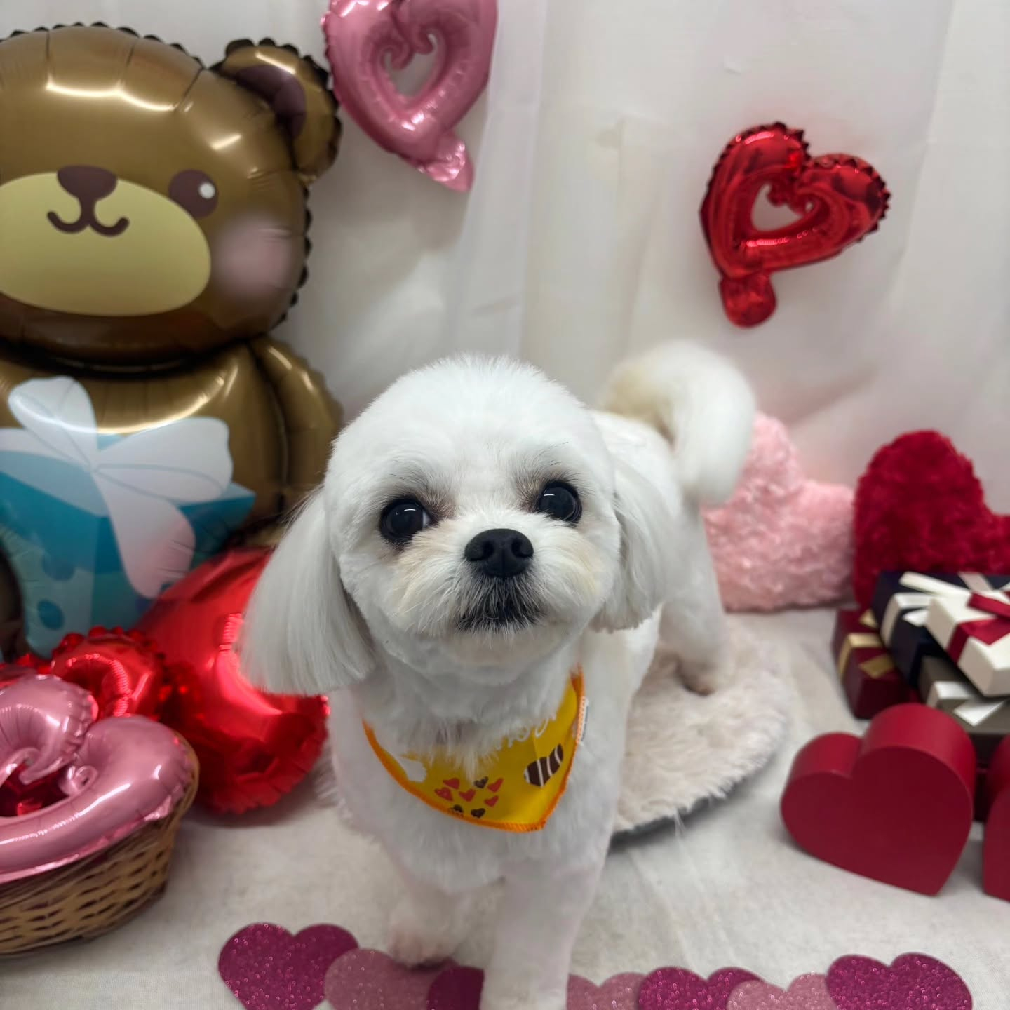 ๐ซ๐ซ๐ซ๐ซ๐ซ๐ซ๐ซ๐ซ