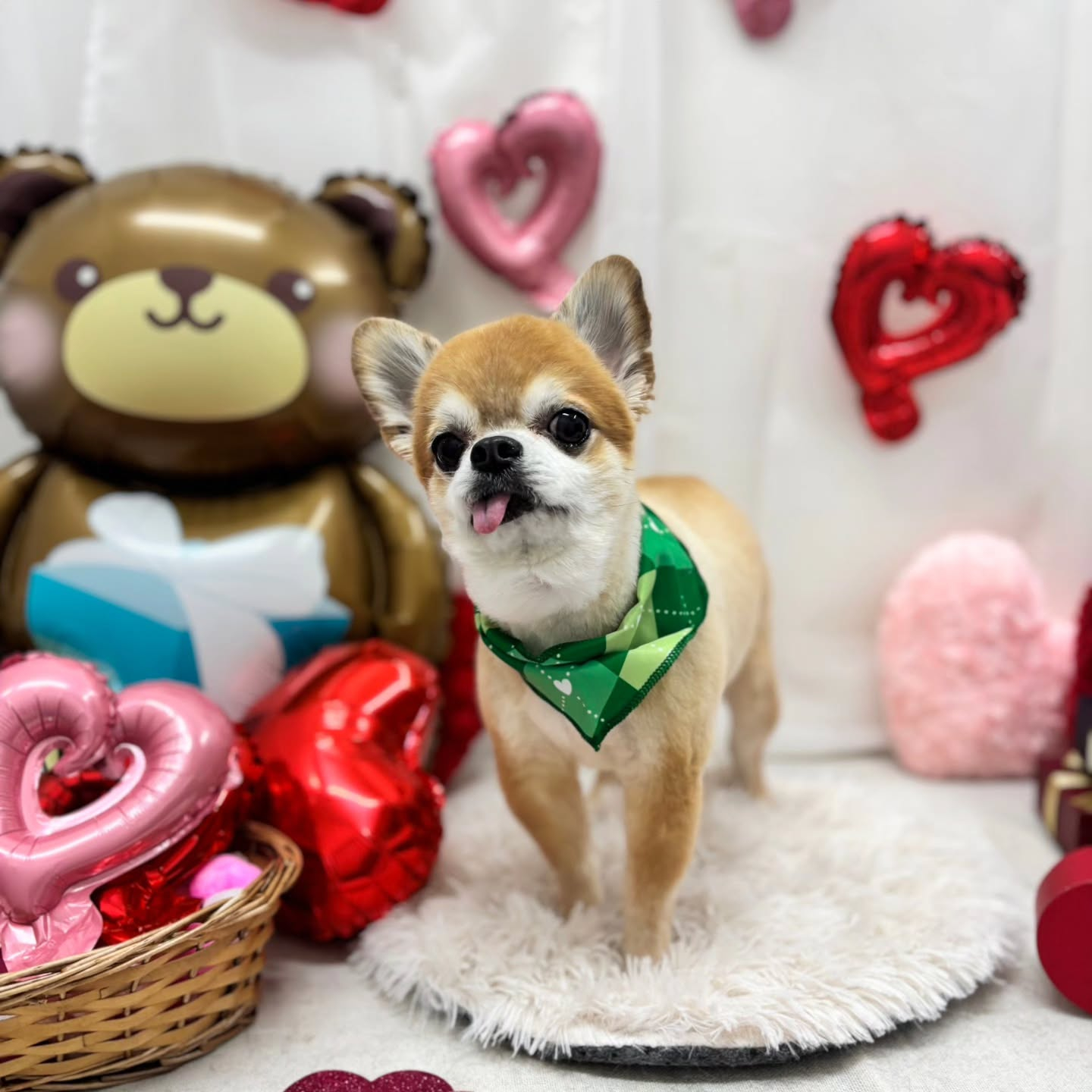 ๐ซ๐ซ๐ซ๐ซ๐ซ๐ซ๐ซ๐ซ