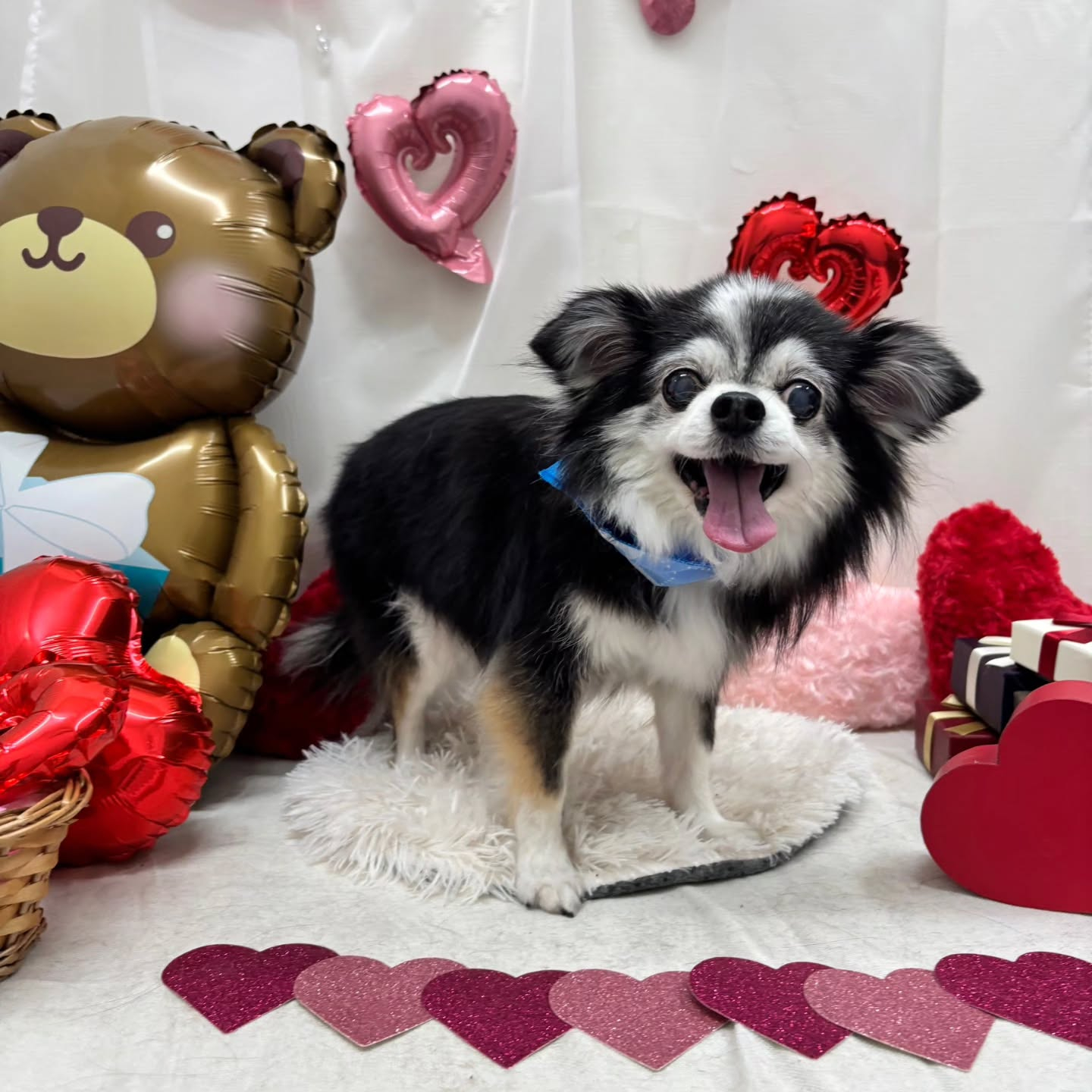 ๐ซ๐ซ๐ซ๐ซ๐ซ๐ซ๐ซ๐ซ