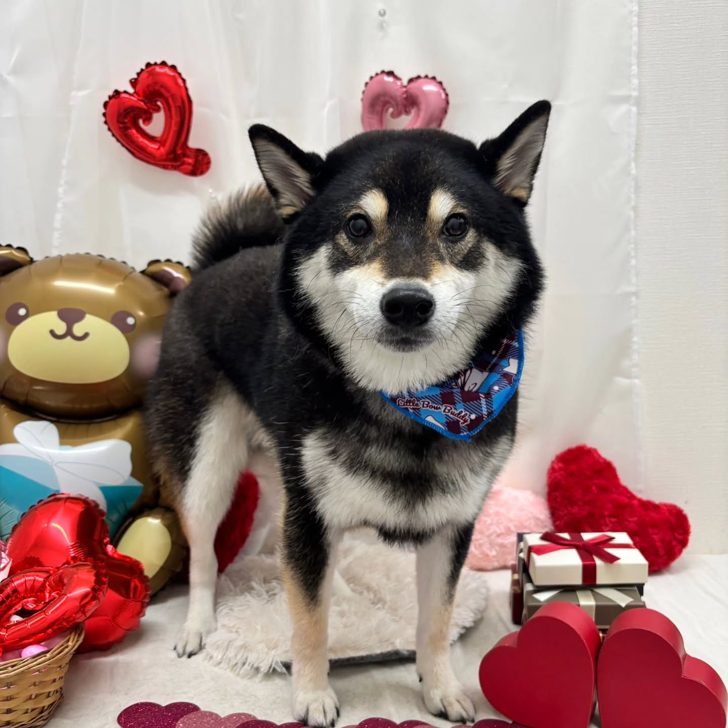 ๐ซ๐ซ๐ซ๐ซ๐ซ๐ซ๐ซ๐ซ