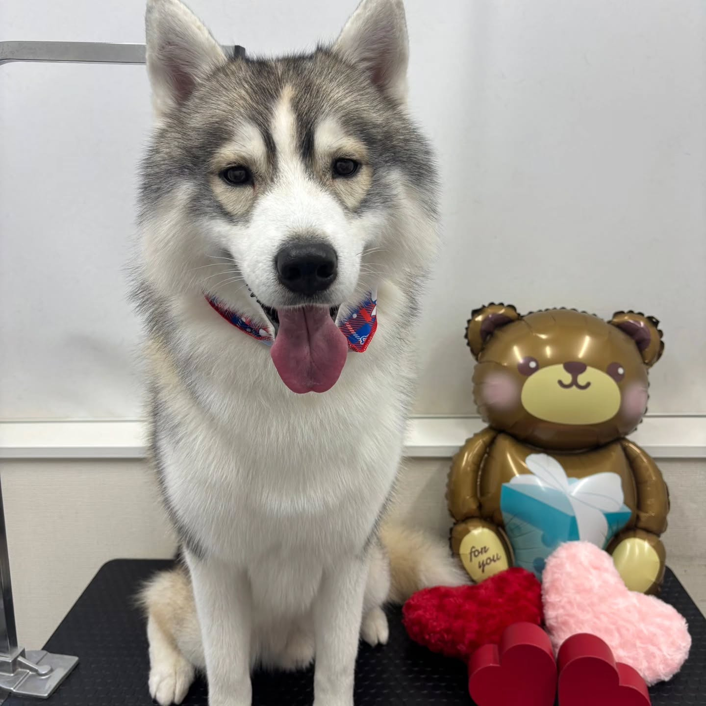 ๐ซ๐ซ๐ซ๐ซ๐ซ๐ซ๐ซ