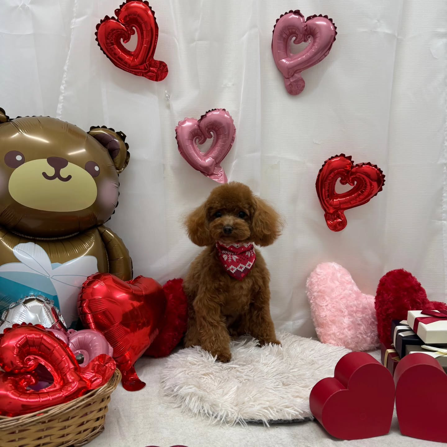 ๐ซ๐ซ๐ซ๐ซ๐ซ๐ซ๐ซ