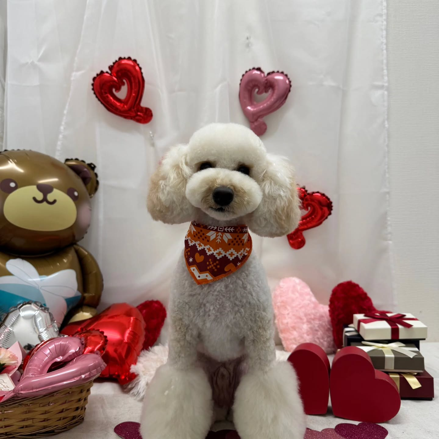 ๐ซ๐ซ๐ซ๐ซ๐ซ๐ซ๐ซ