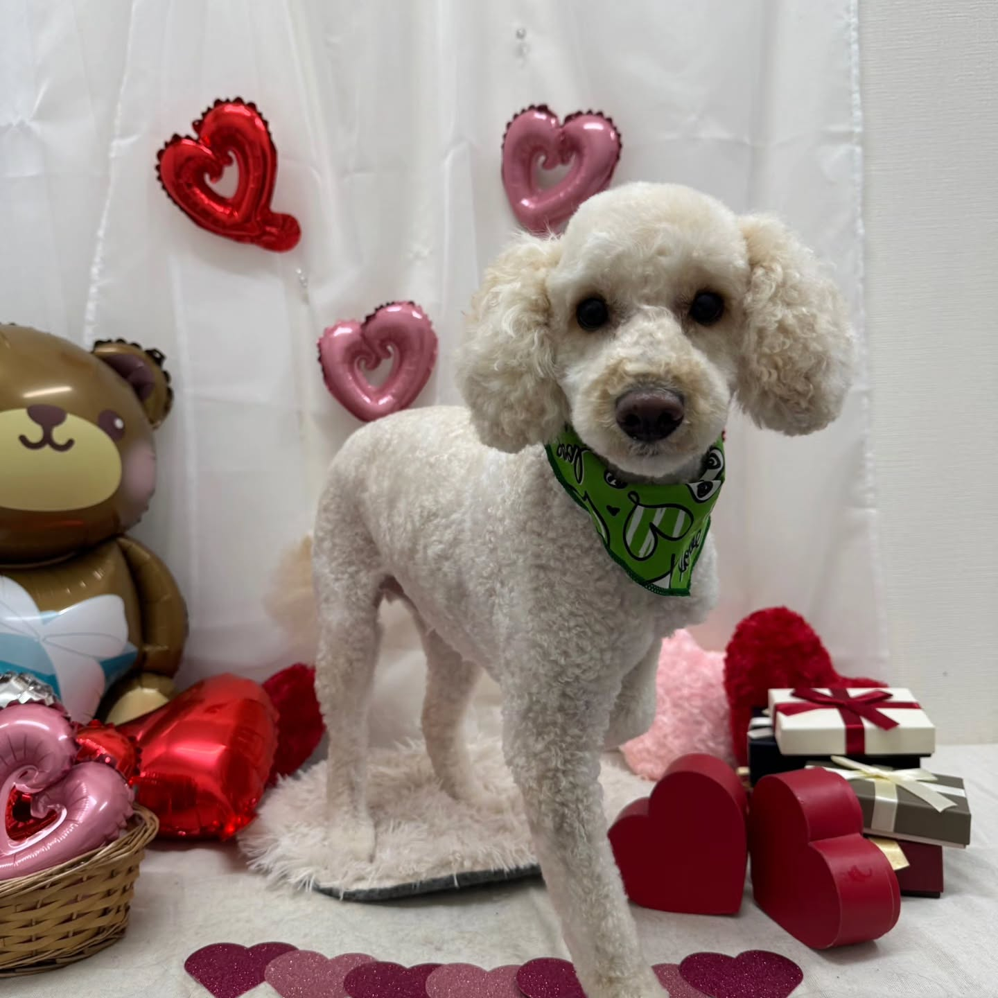 ๐ซ๐ซ๐ซ๐ซ๐ซ๐ซ๐ซ