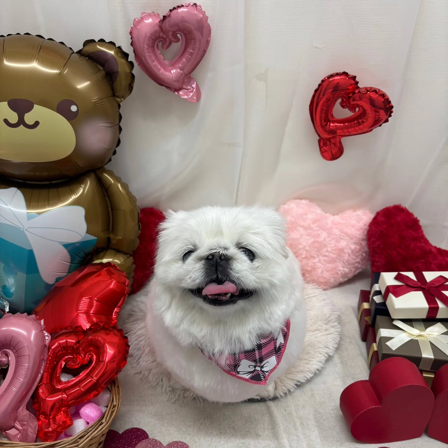 ๐ซ๐ซ๐ซ๐ซ๐ซ๐ซ๐ซ