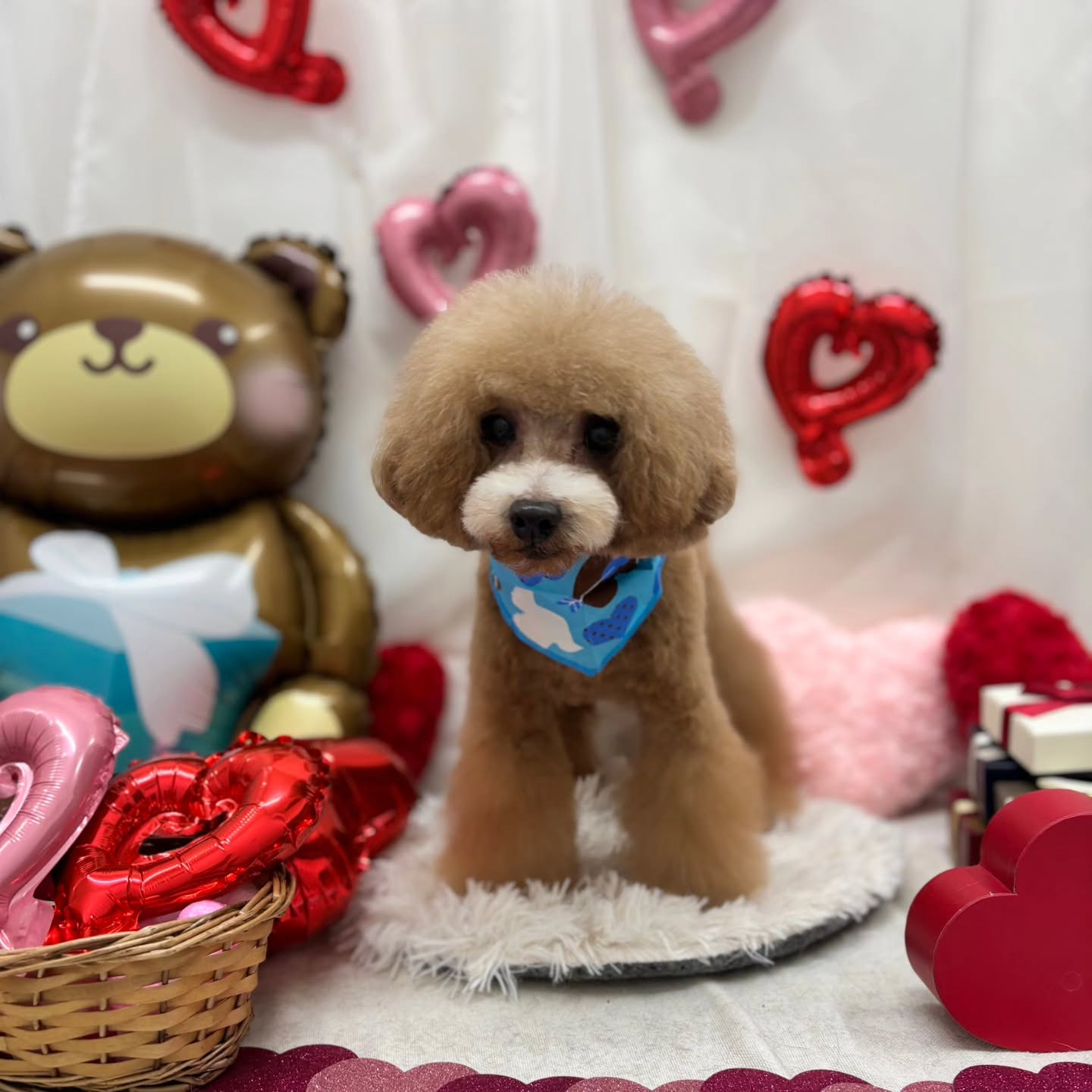 ๐ซ๐ซ๐ซ๐ซ๐ซ๐ซ๐ซ