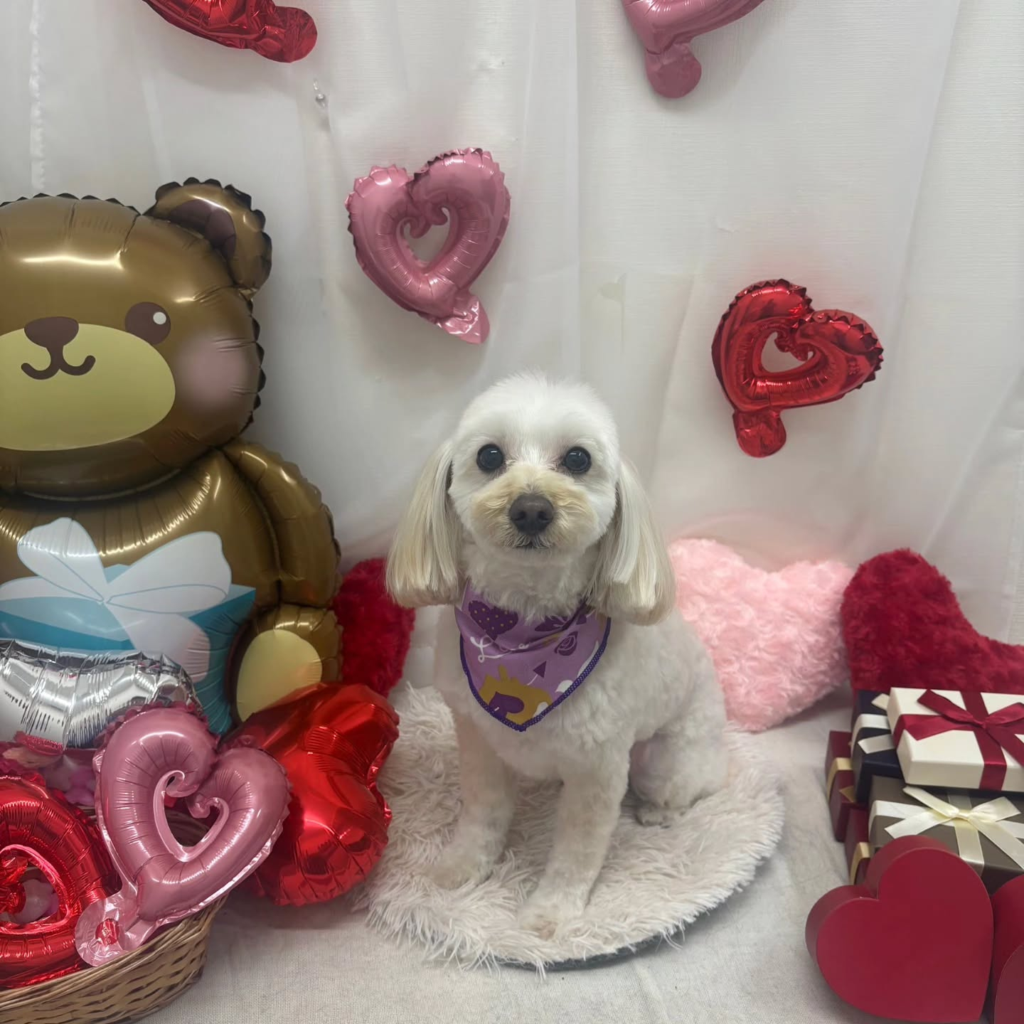 ๐ซ๐ซ๐ซ๐ซ๐ซ๐ซ๐ซ