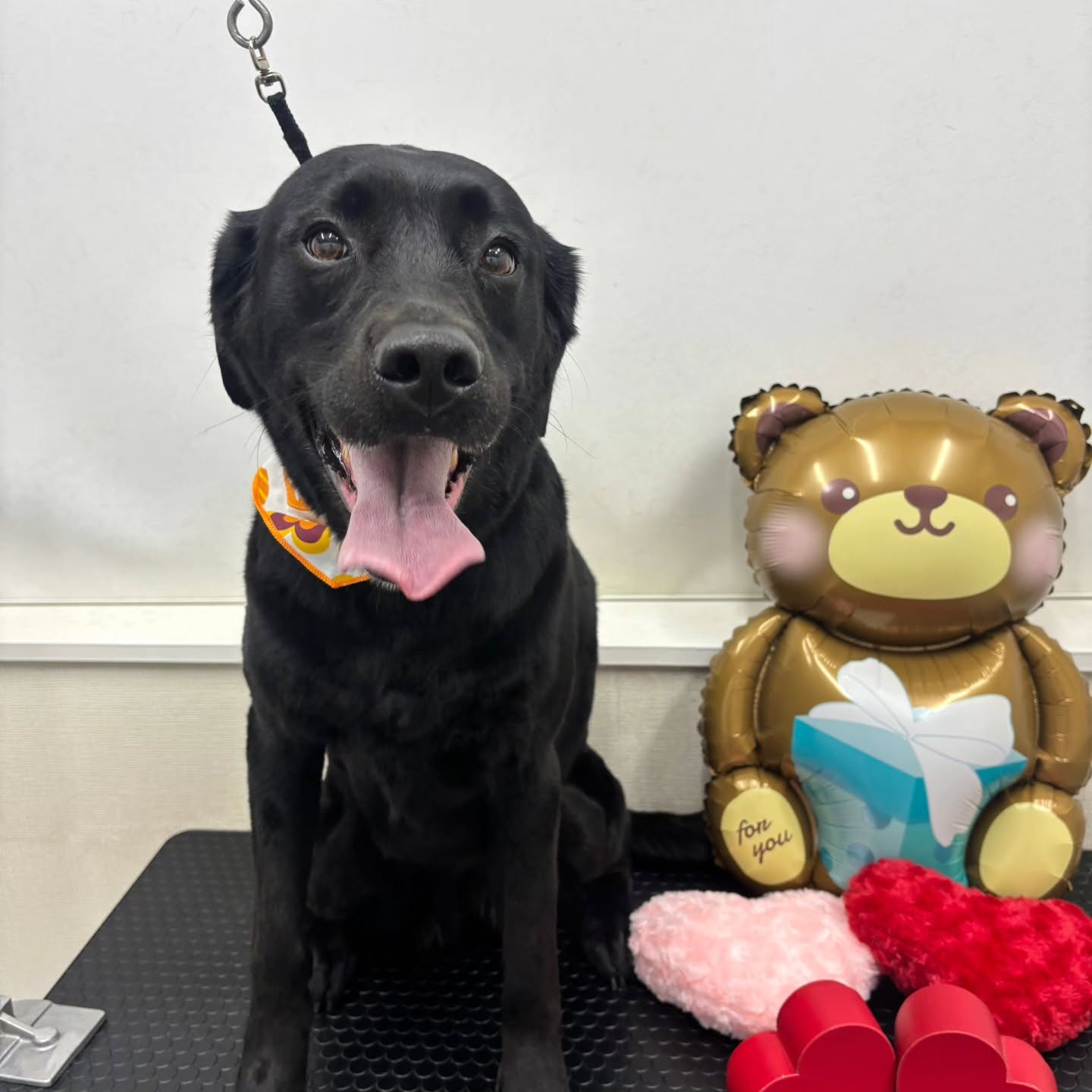 ๐ซ๐ซ๐ซ๐ซ๐ซ๐ซ๐ซ