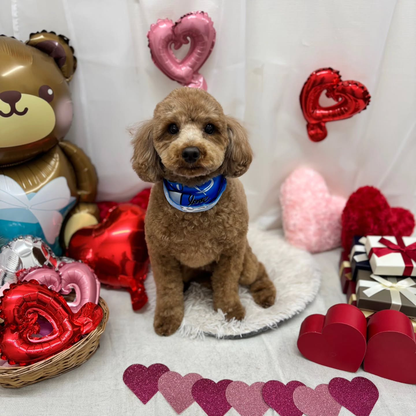 ๐ซ๐ซ๐ซ๐ซ๐ซ๐ซ๐ซ