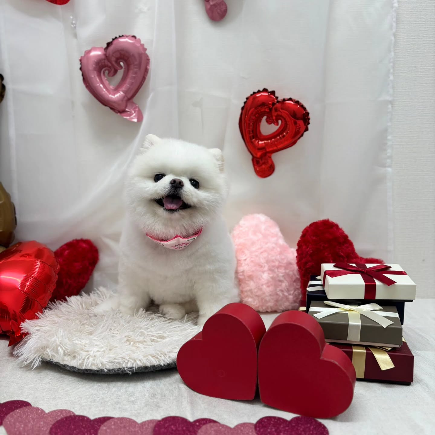 ๐ซ๐ซ๐ซ๐ซ๐ซ๐ซ๐ซ