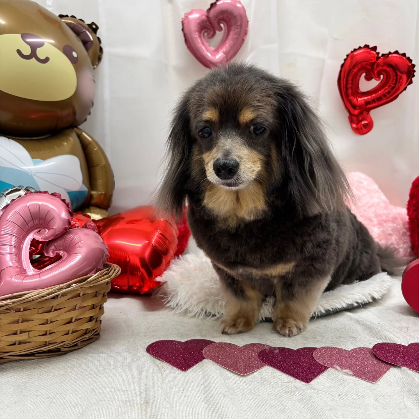 ๐ซ๐ซ๐ซ๐ซ๐ซ๐ซ๐ซ