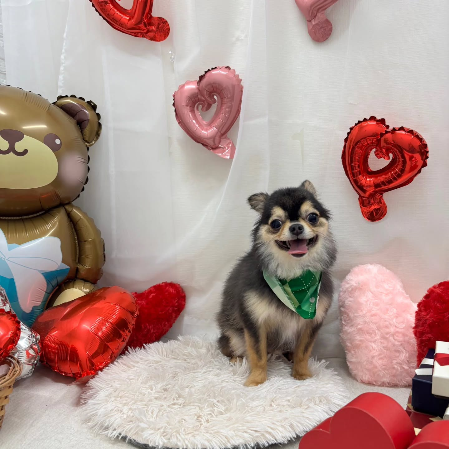 ๐ซ๐ซ๐ซ๐ซ๐ซ๐ซ๐ซ