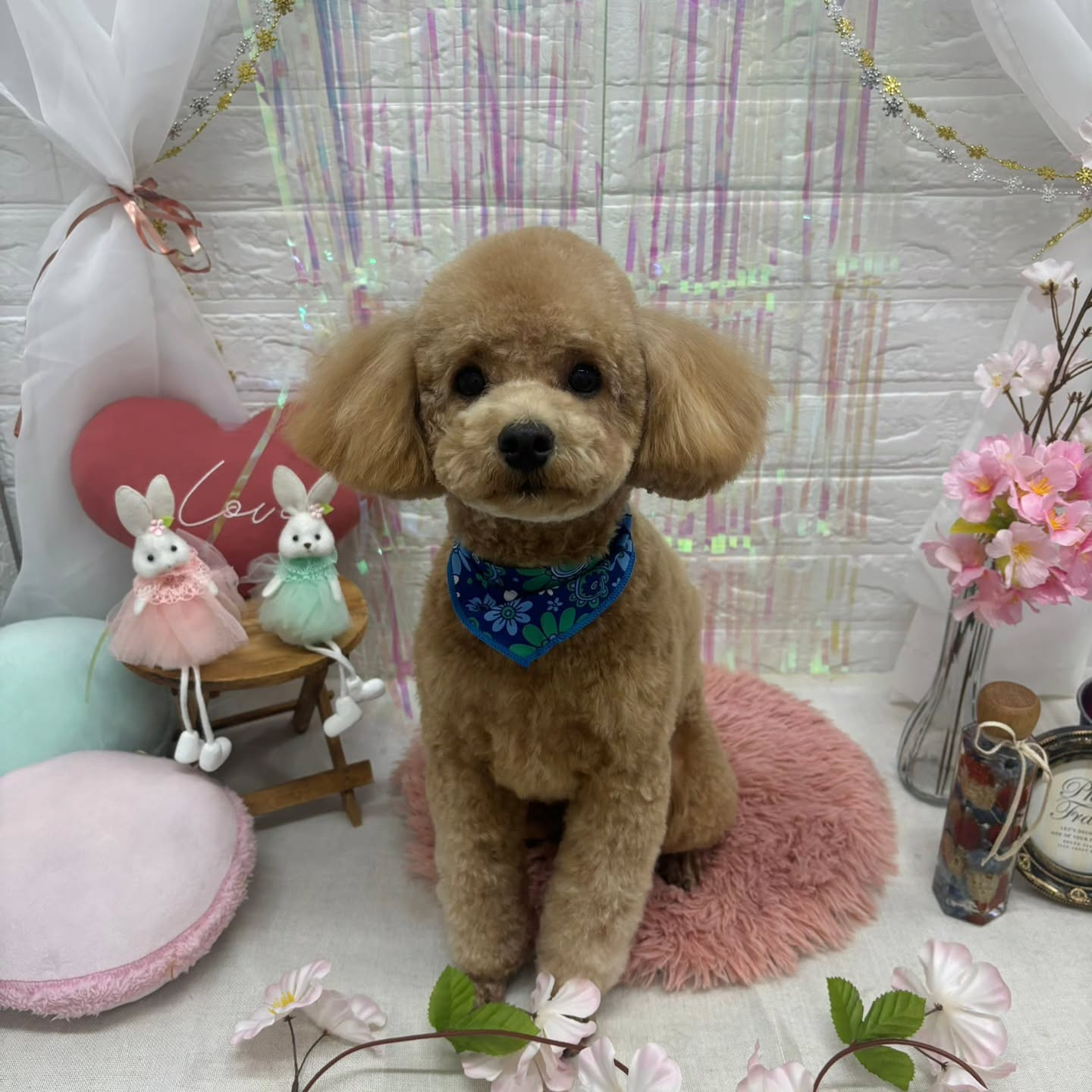 🥚🥚🥚🥚🥚🥚🥚🥚🥚