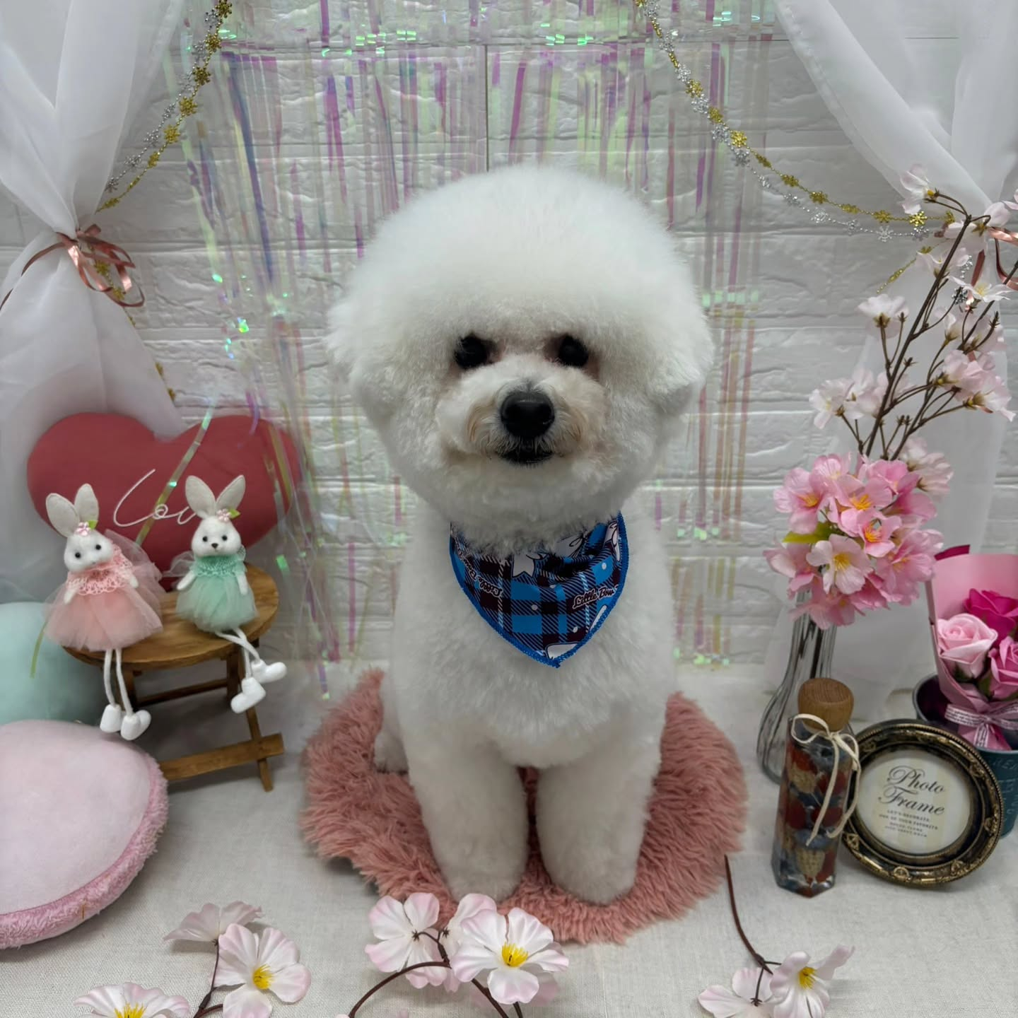 🥚🥚🥚🥚🥚🥚🥚🥚🥚