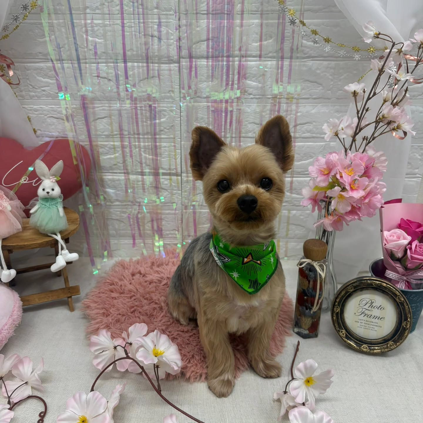 🥚🥚🥚🥚🥚🥚🥚🥚🥚