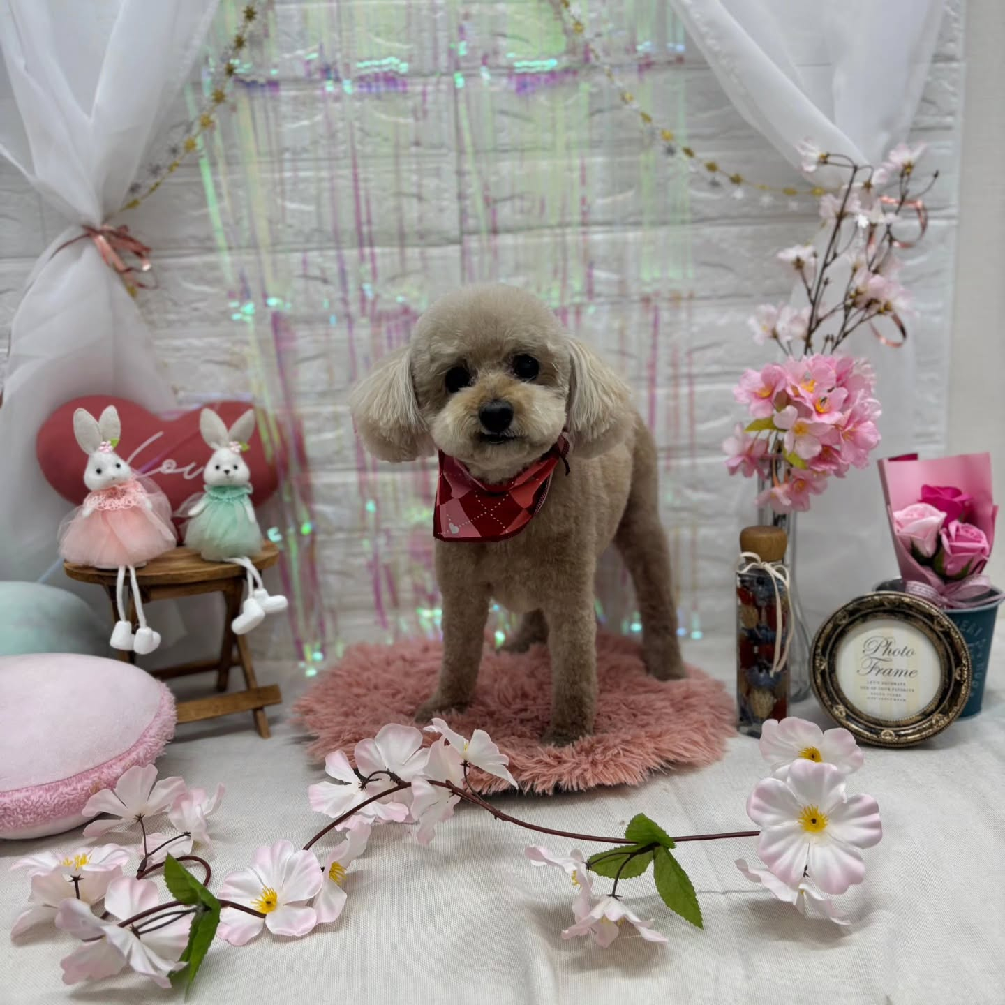 🥚🥚🥚🥚🥚🥚🥚🥚🥚