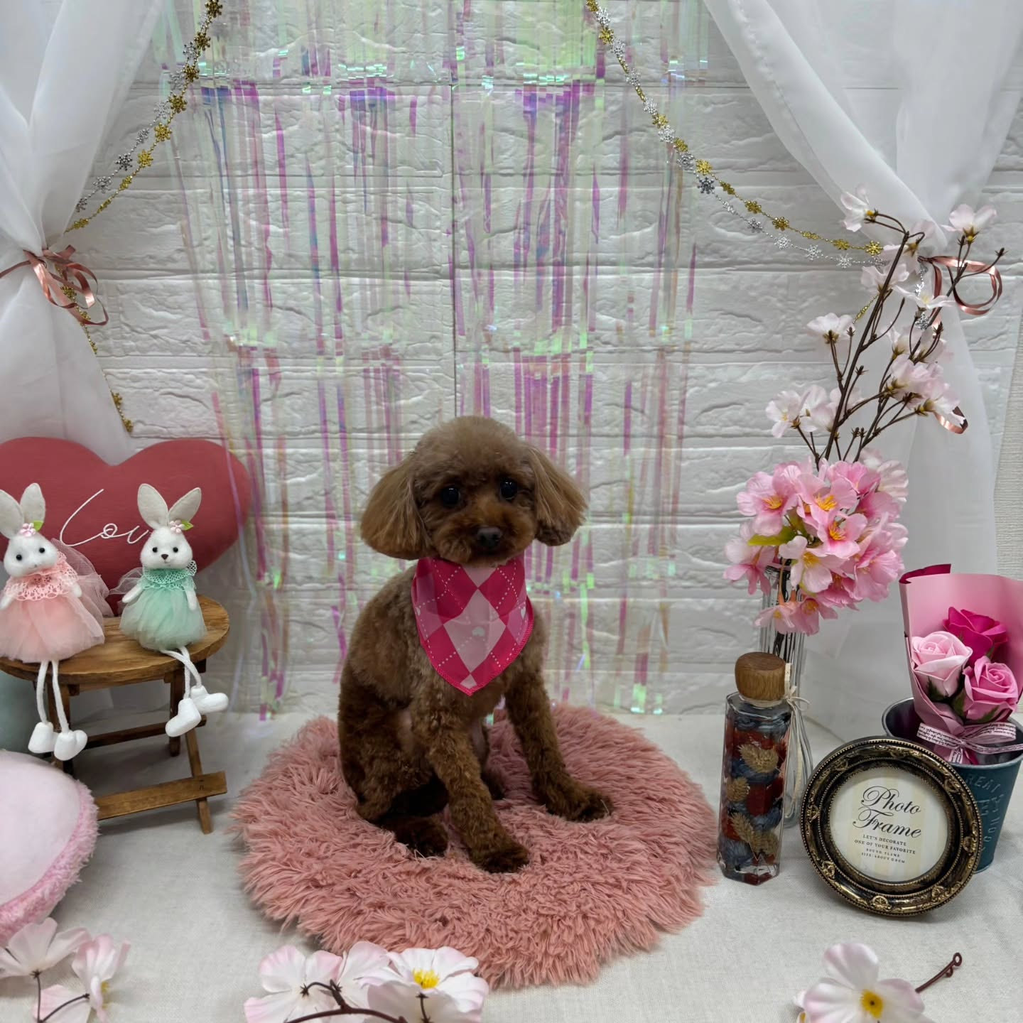 🥚🥚🥚🥚🥚🥚🥚🥚🥚