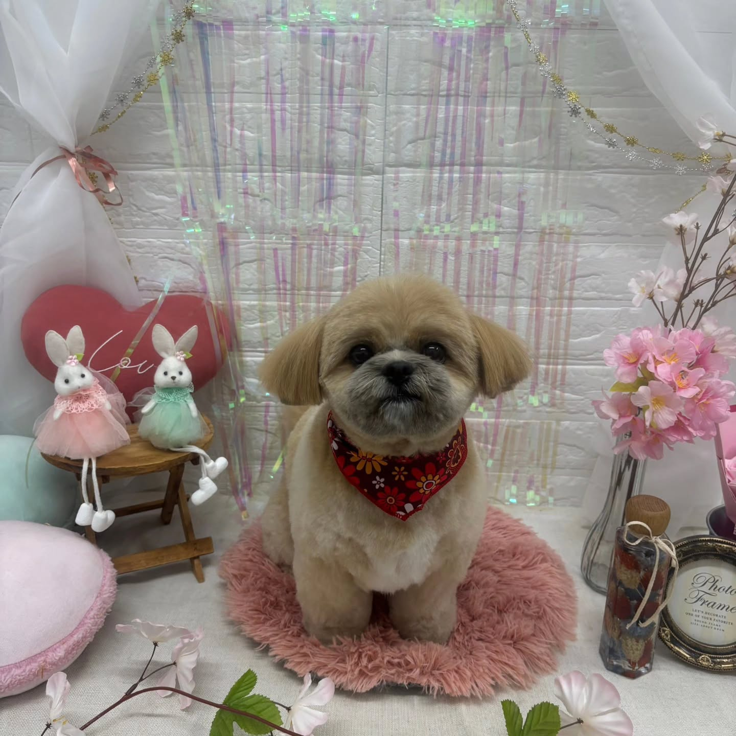 ๐ฐ๐ฐ๐ฐ๐ฐ๐ฐ๐ฐ๐ฐ