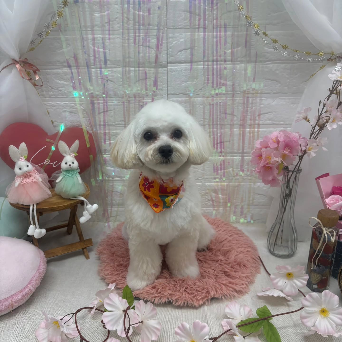 ๐ฐ๐ฐ๐ฐ๐ฐ๐ฐ๐ฐ๐ฐ