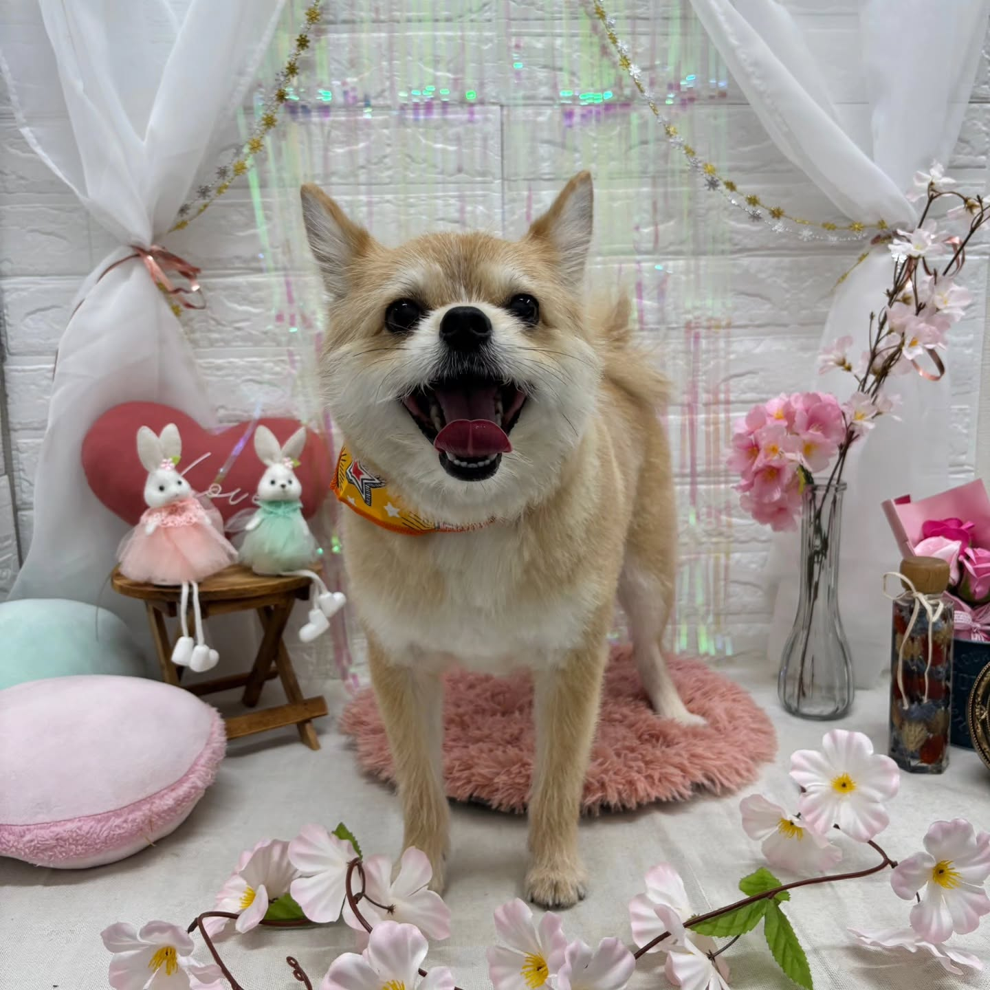 ๐ฐ๐ฐ๐ฐ๐ฐ๐ฐ๐ฐ๐ฐ