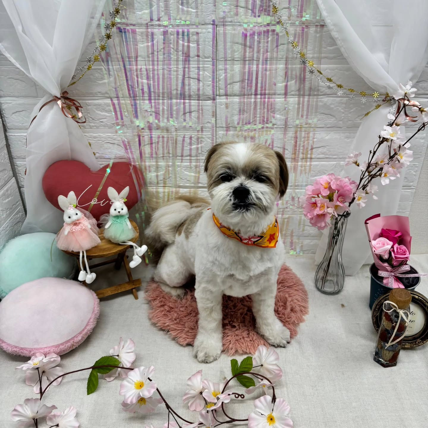 ๐ฐ๐ฐ๐ฐ๐ฐ๐ฐ๐ฐ๐ฐ