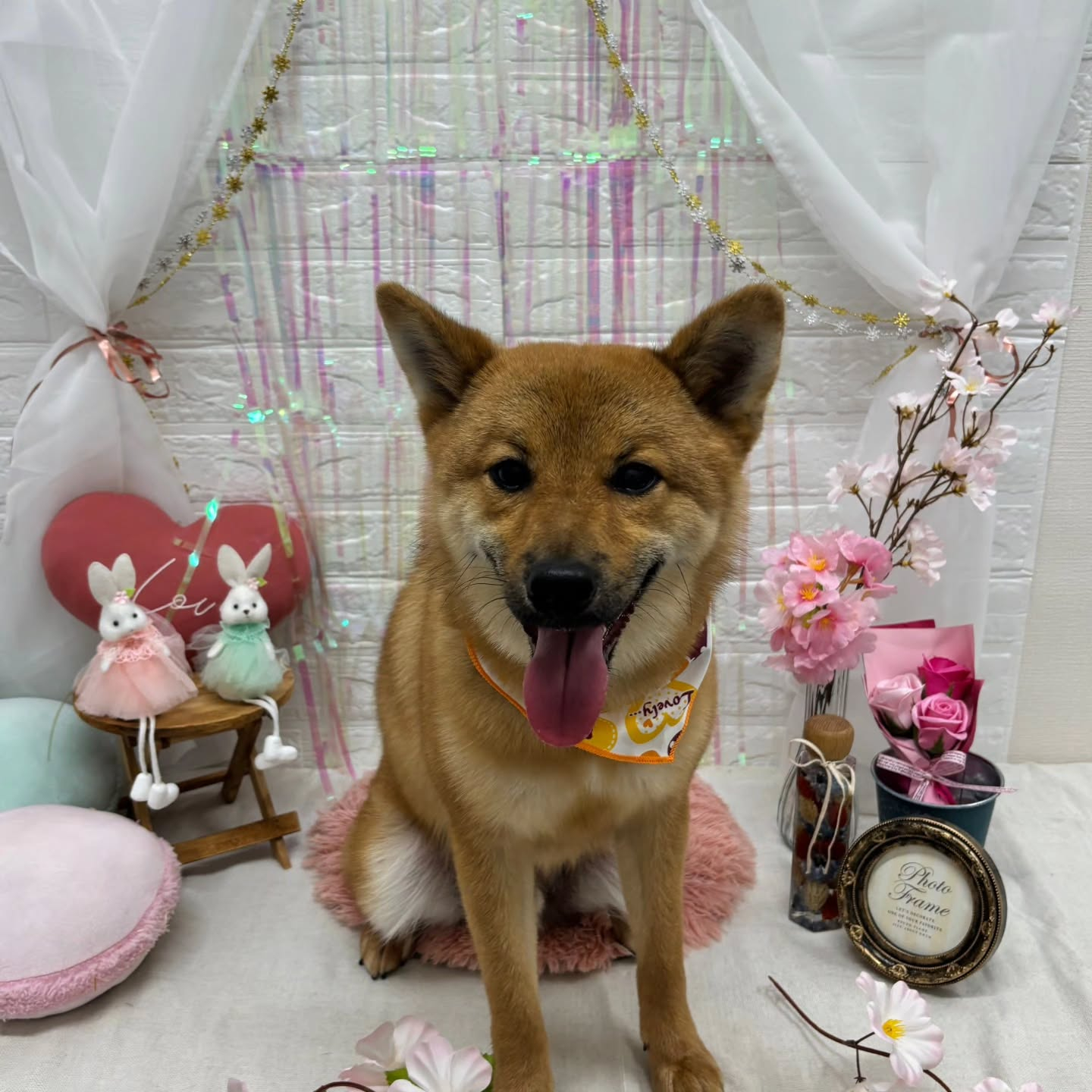 ๐ฐ๐ฐ๐ฐ๐ฐ๐ฐ๐ฐ๐ฐ