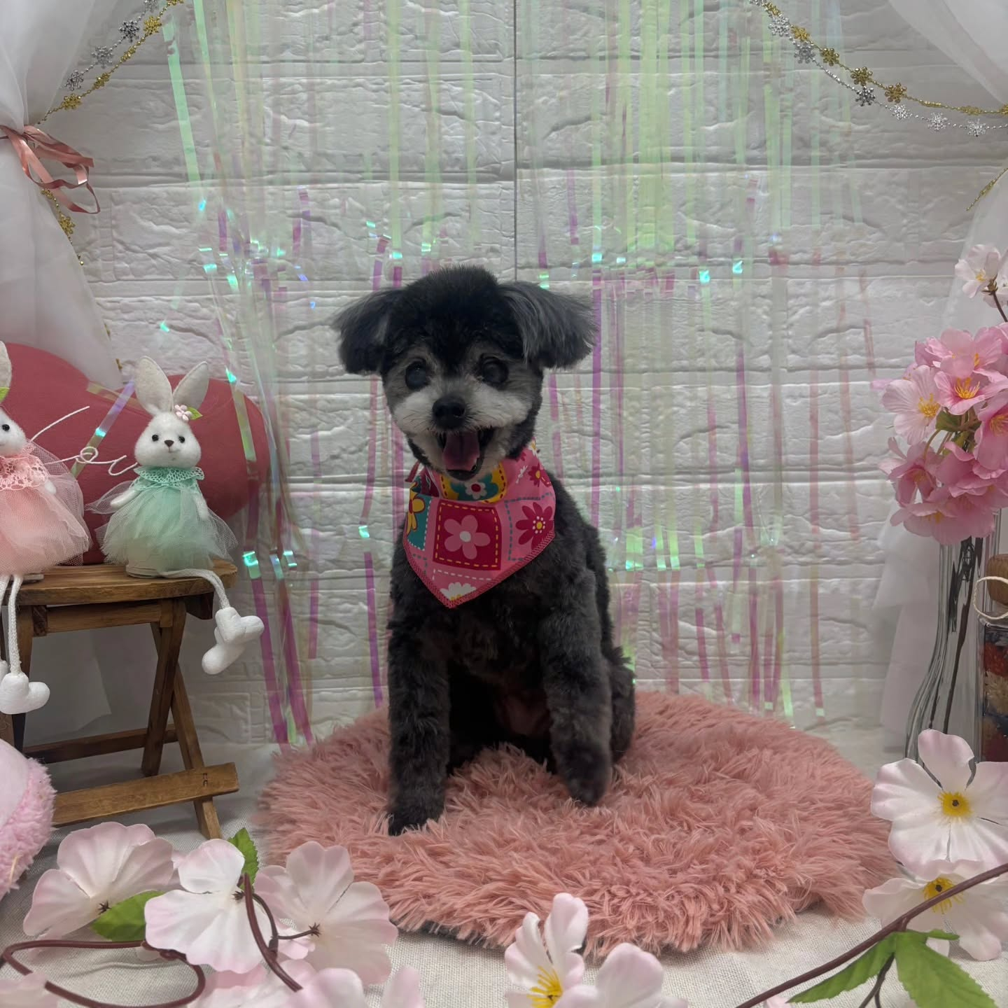 ๐ฐ๐ฐ๐ฐ๐ฐ๐ฐ๐ฐ๐ฐ