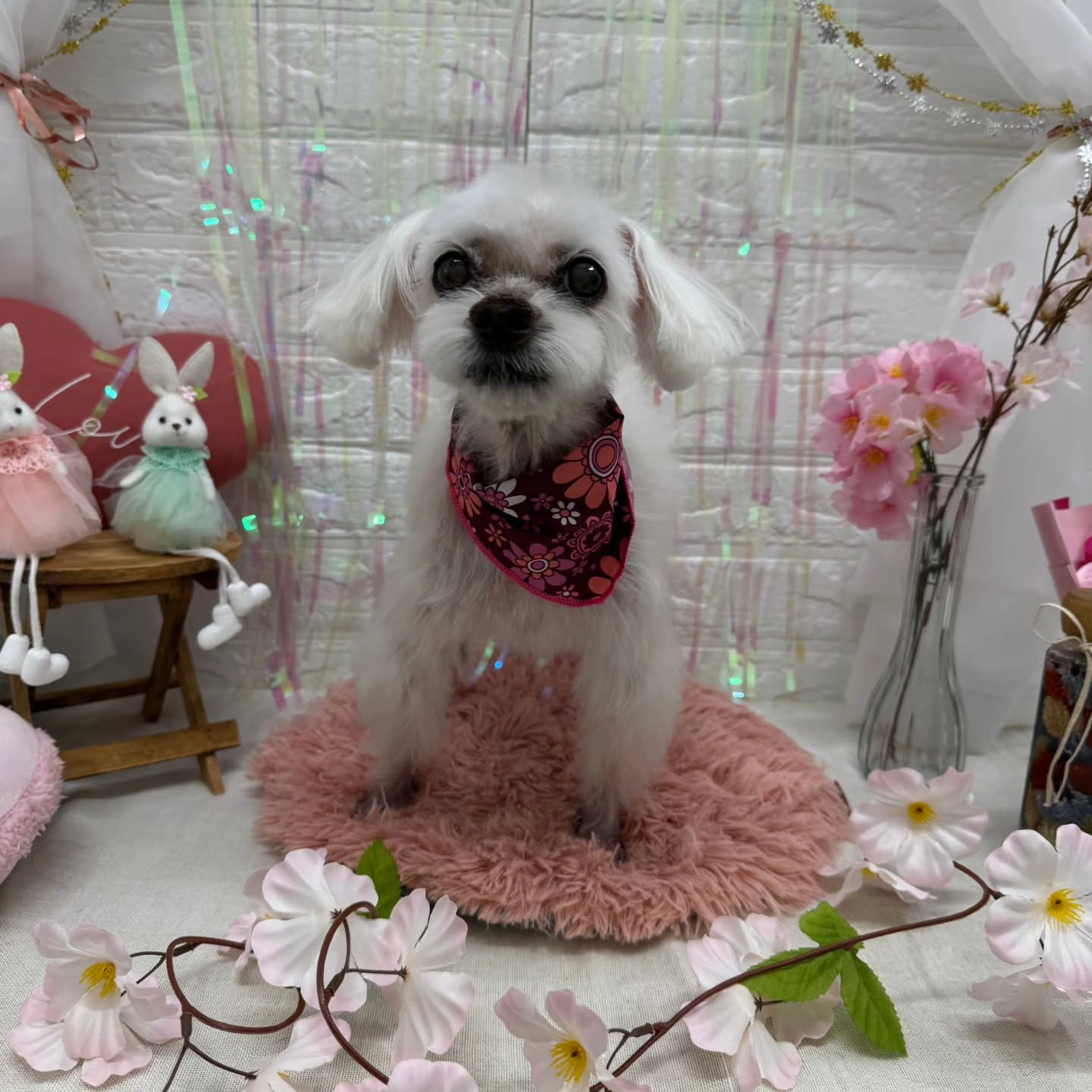 ๐ฐ๐ฐ๐ฐ๐ฐ๐ฐ๐ฐ๐ฐ